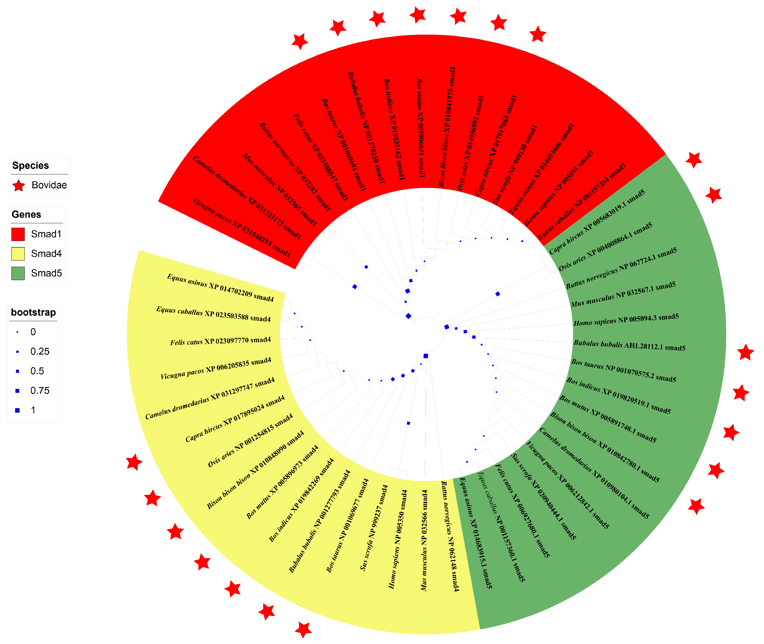 Genes 12 01536 g005 Genes 12 01536 g005