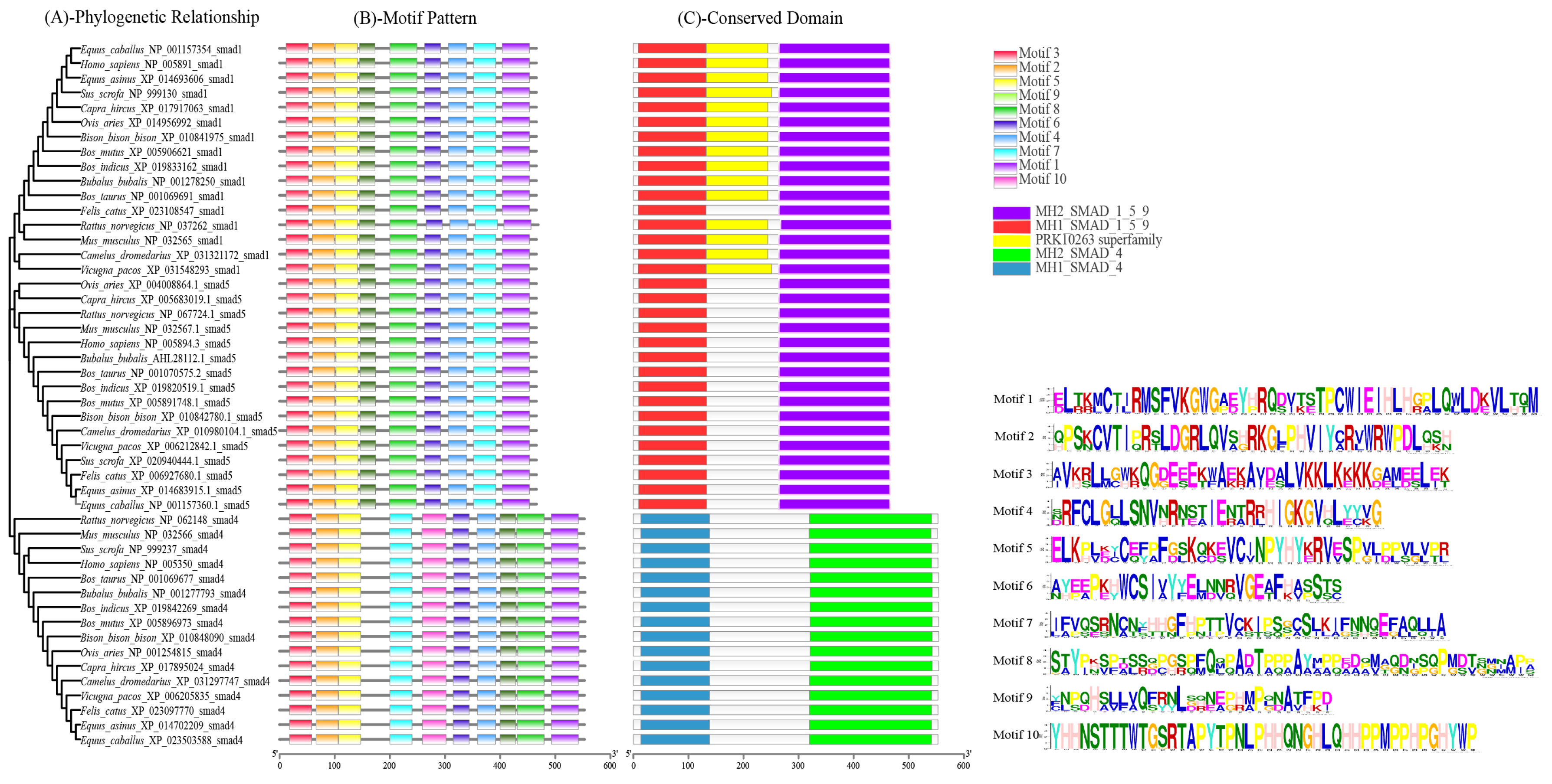 Genes 12 01536 g006 Genes 12 01536 g006
