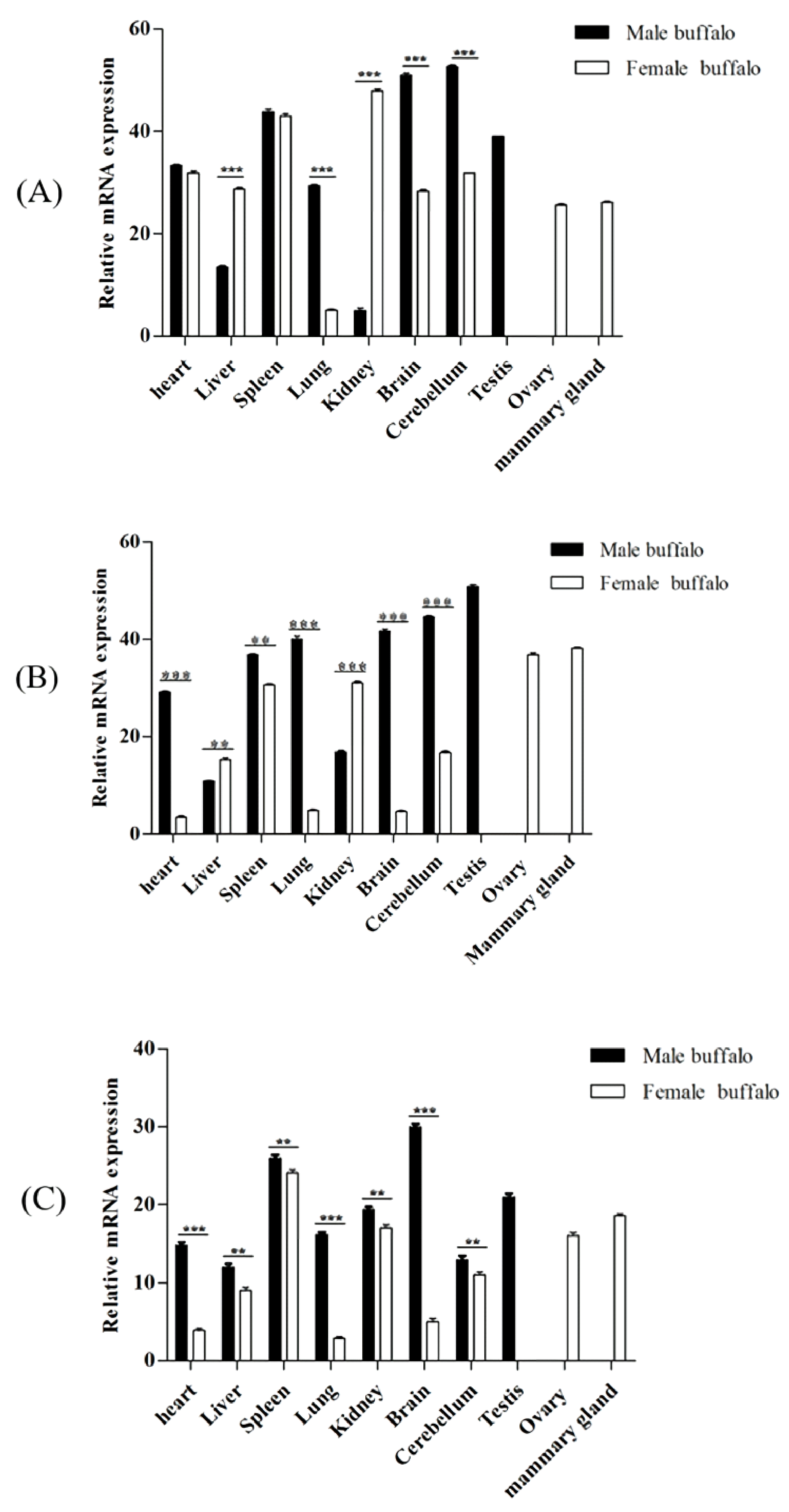 Genes 12 01536 g008 Genes 12 01536 g008