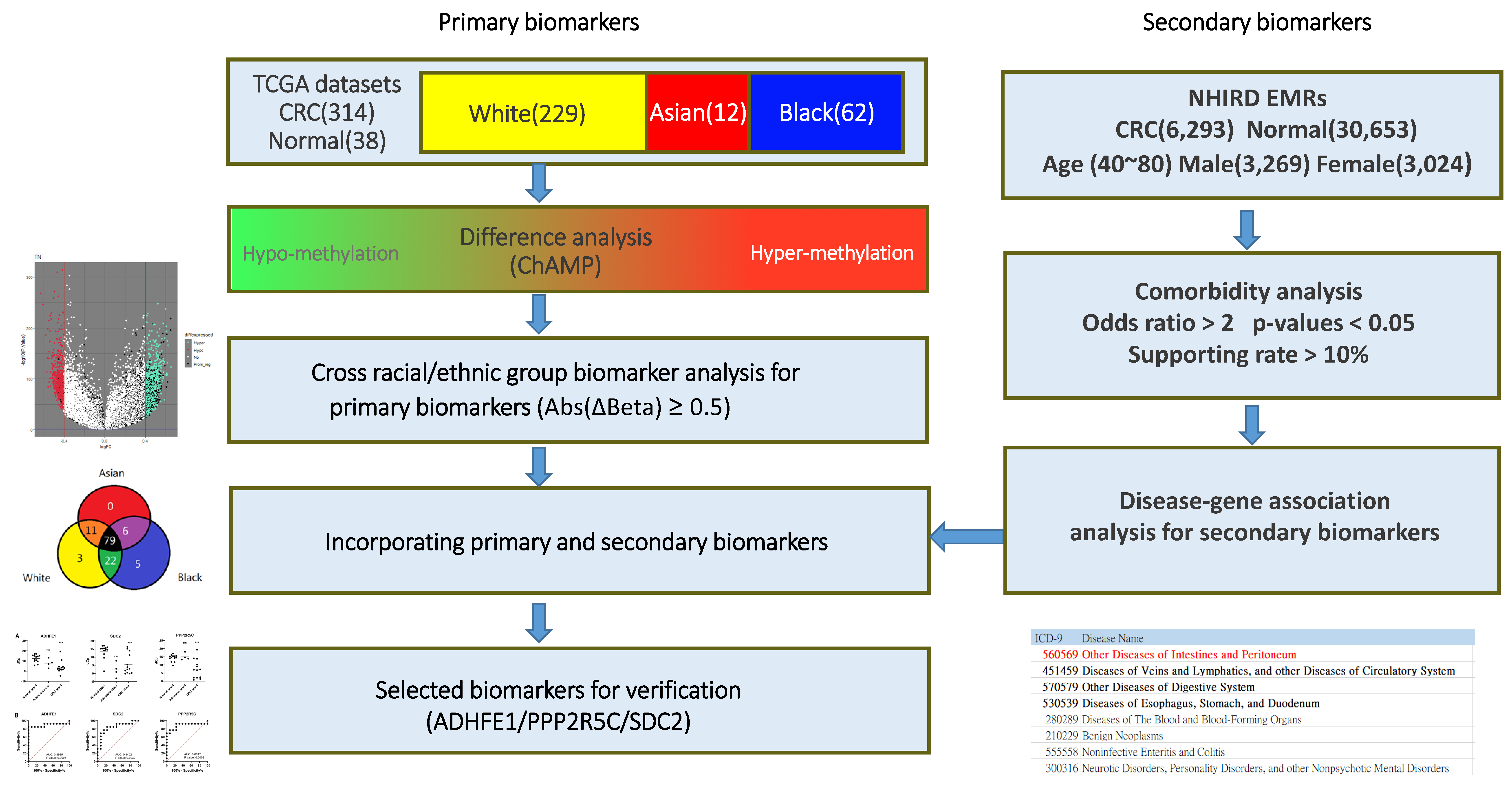 Genes 12 01539 g001