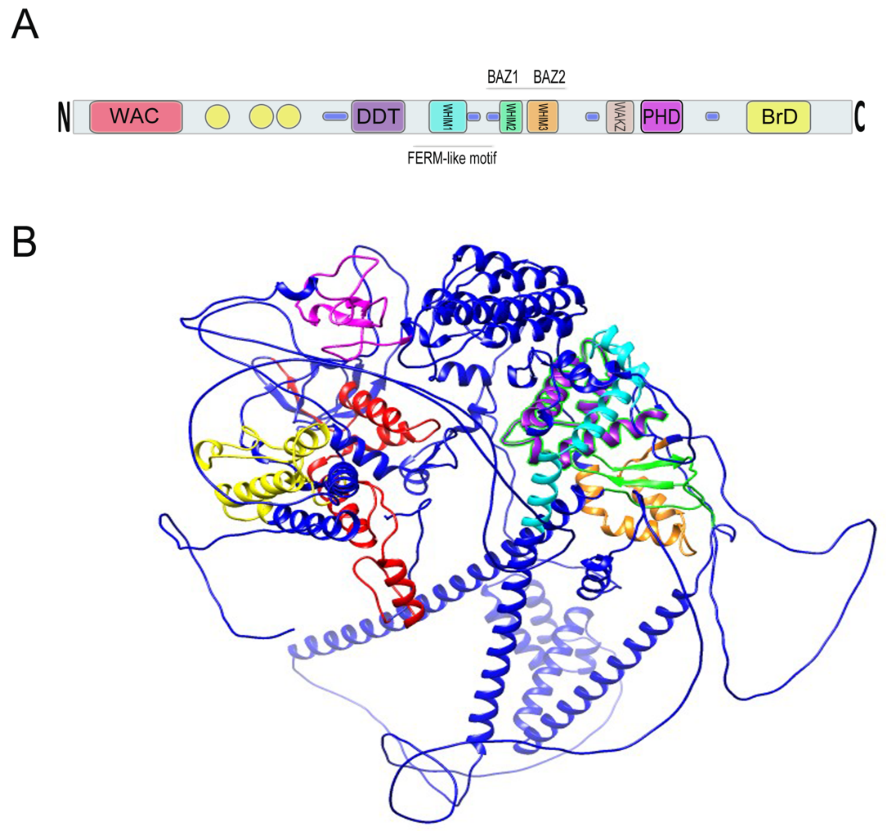 Genes 12 01541 g004