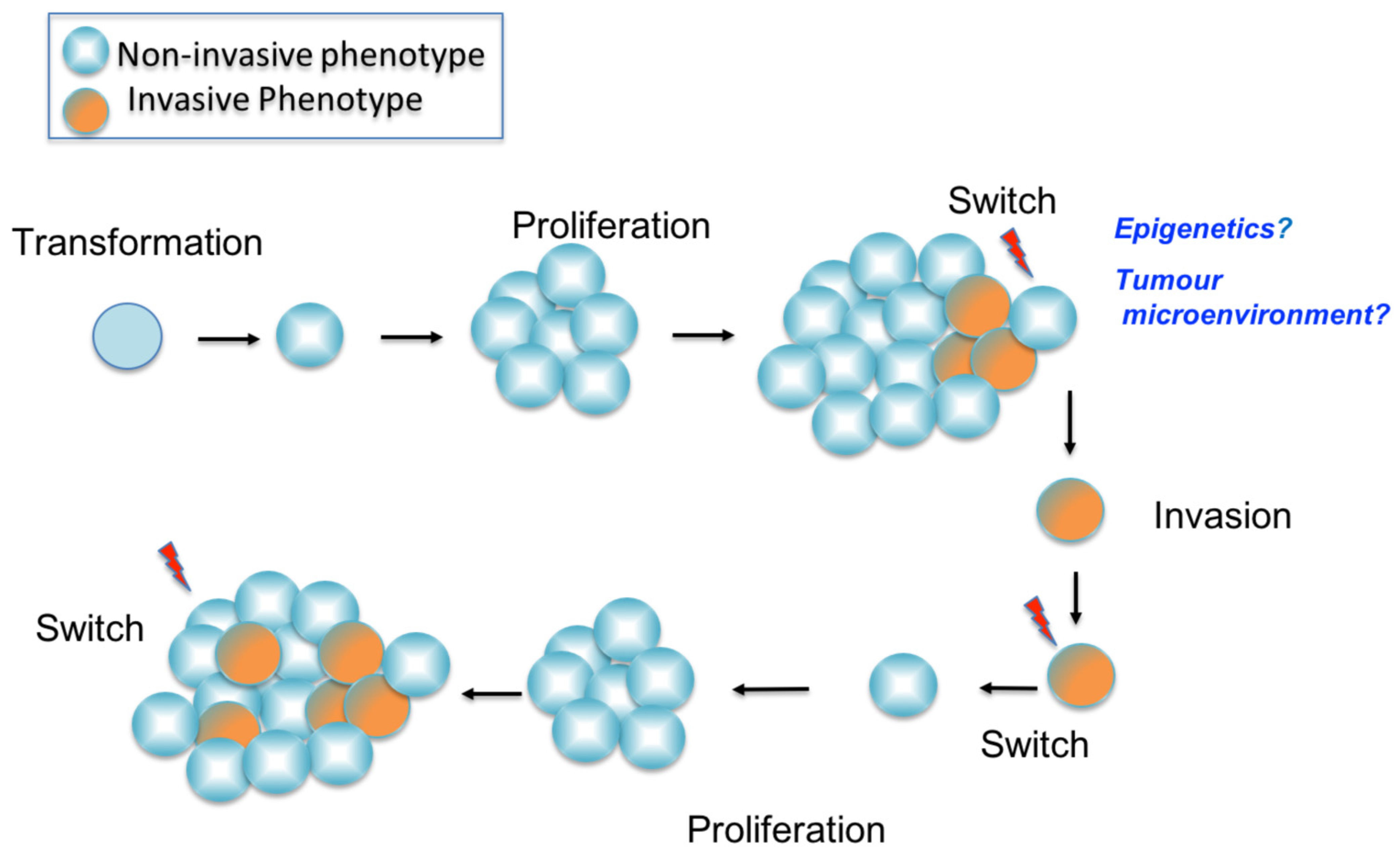 Genes 12 01543 g005