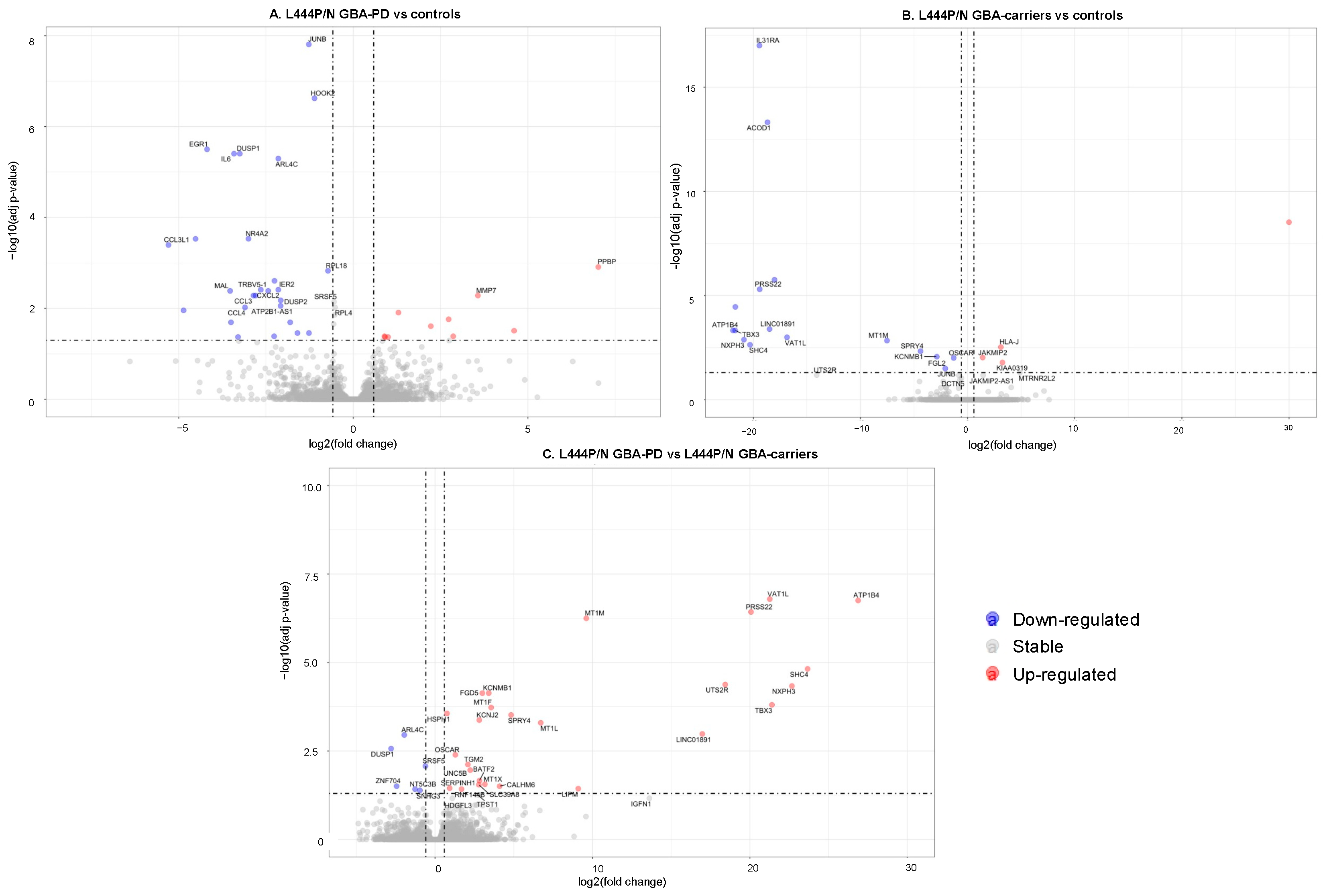 Genes 12 01545 g001 Genes 12 01545 g001