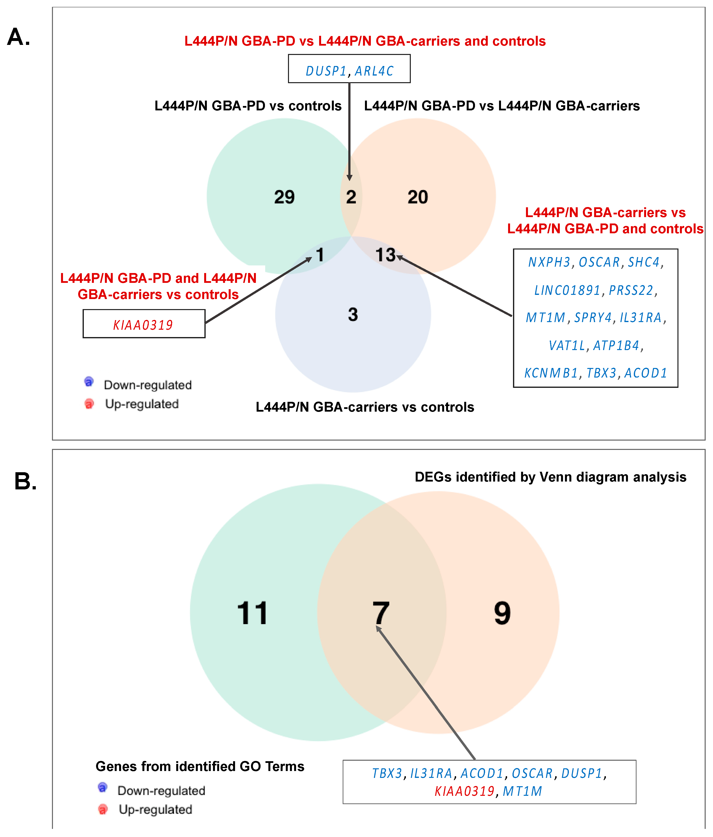Genes 12 01545 g003 Genes 12 01545 g003