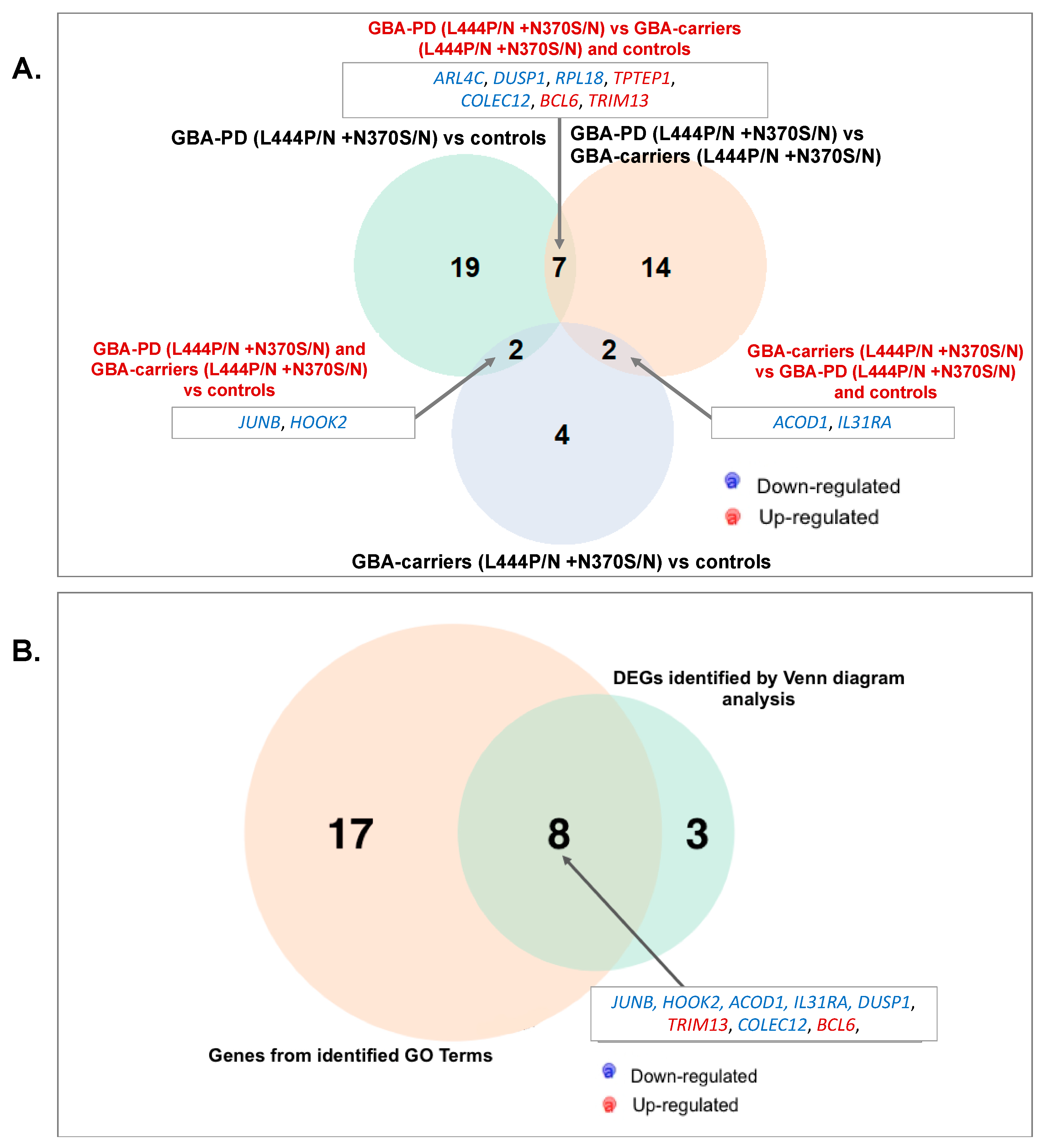Genes 12 01545 g006 Genes 12 01545 g006