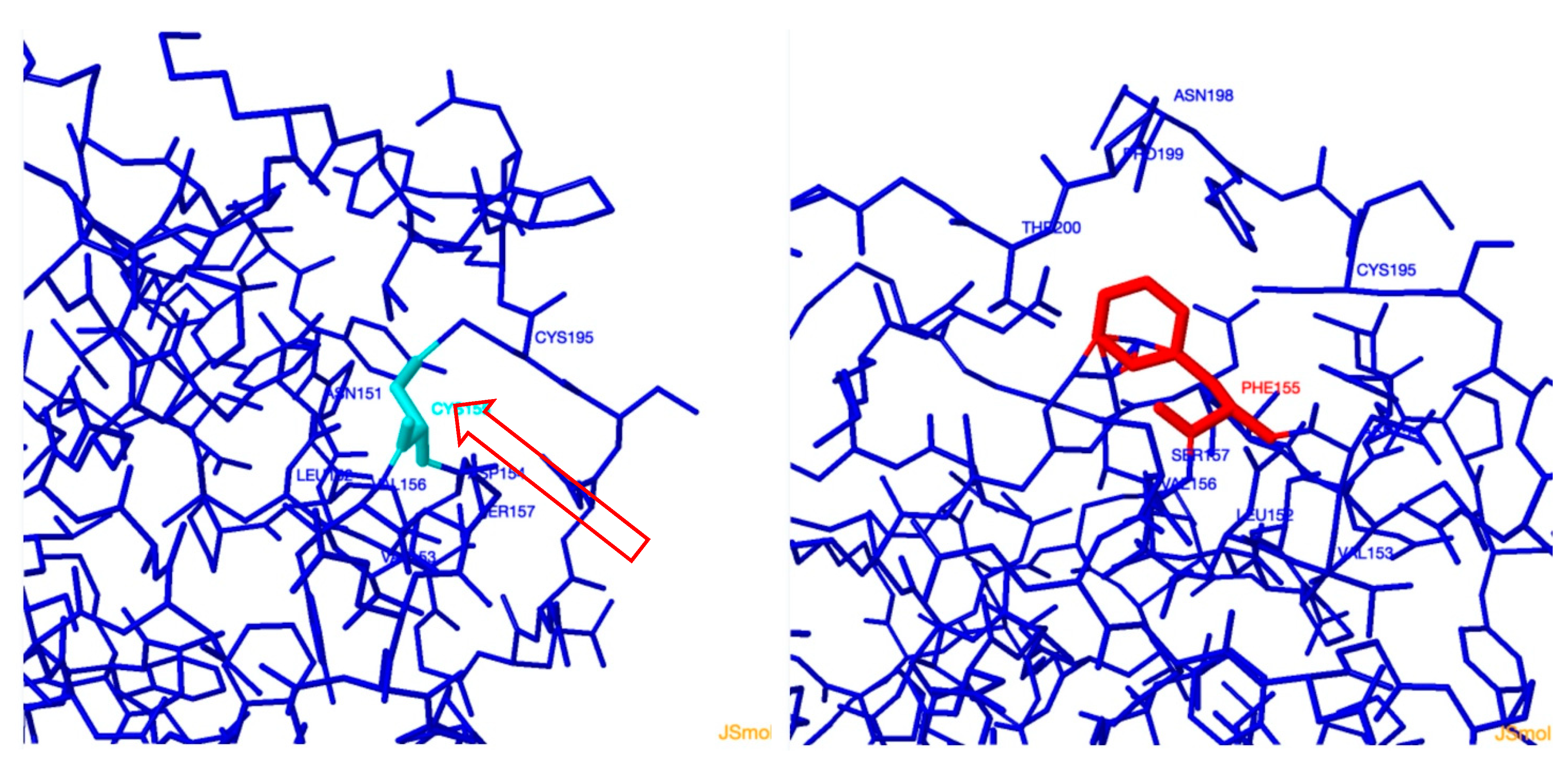 Genes 12 01552 g005 Genes 12 01552 g005