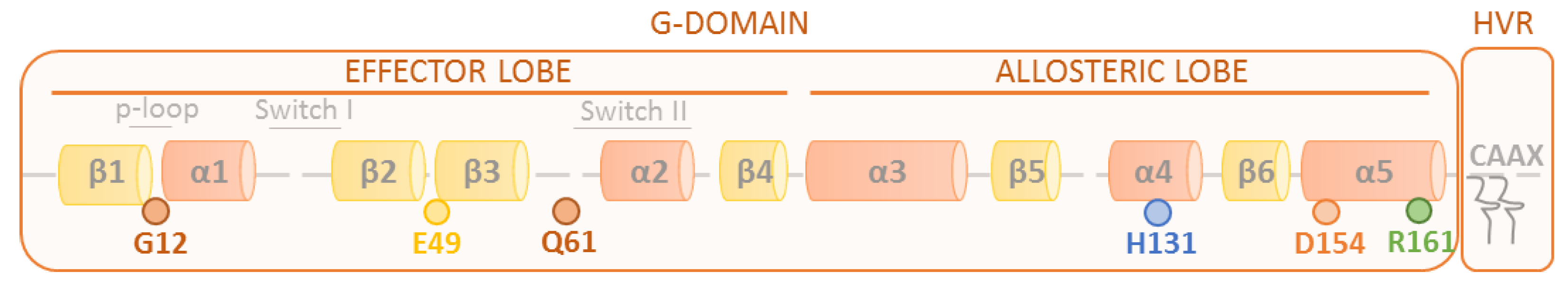 Genes 12 01556 g001 Genes 12 01556 g001