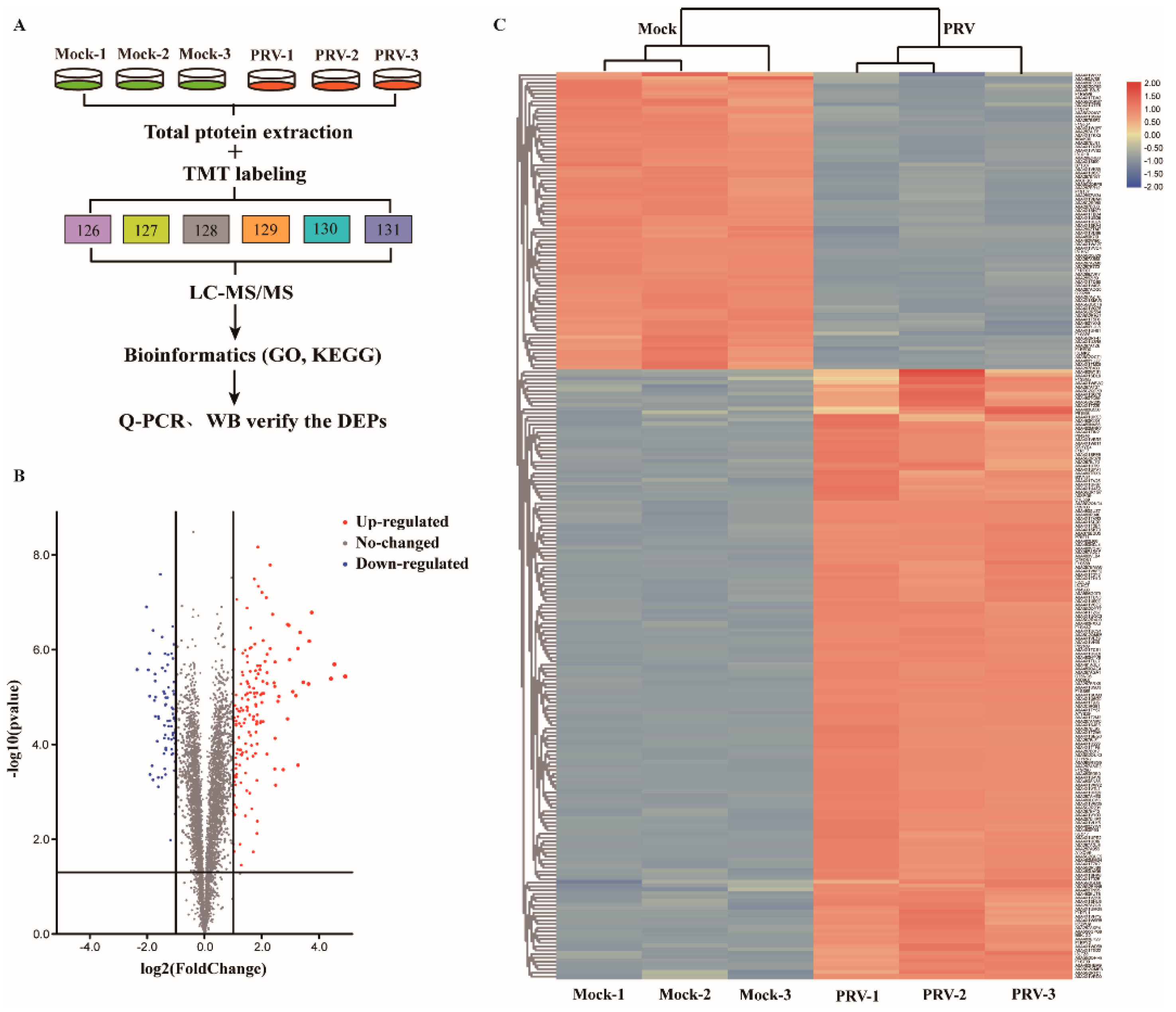 Genes 12 01557 g002