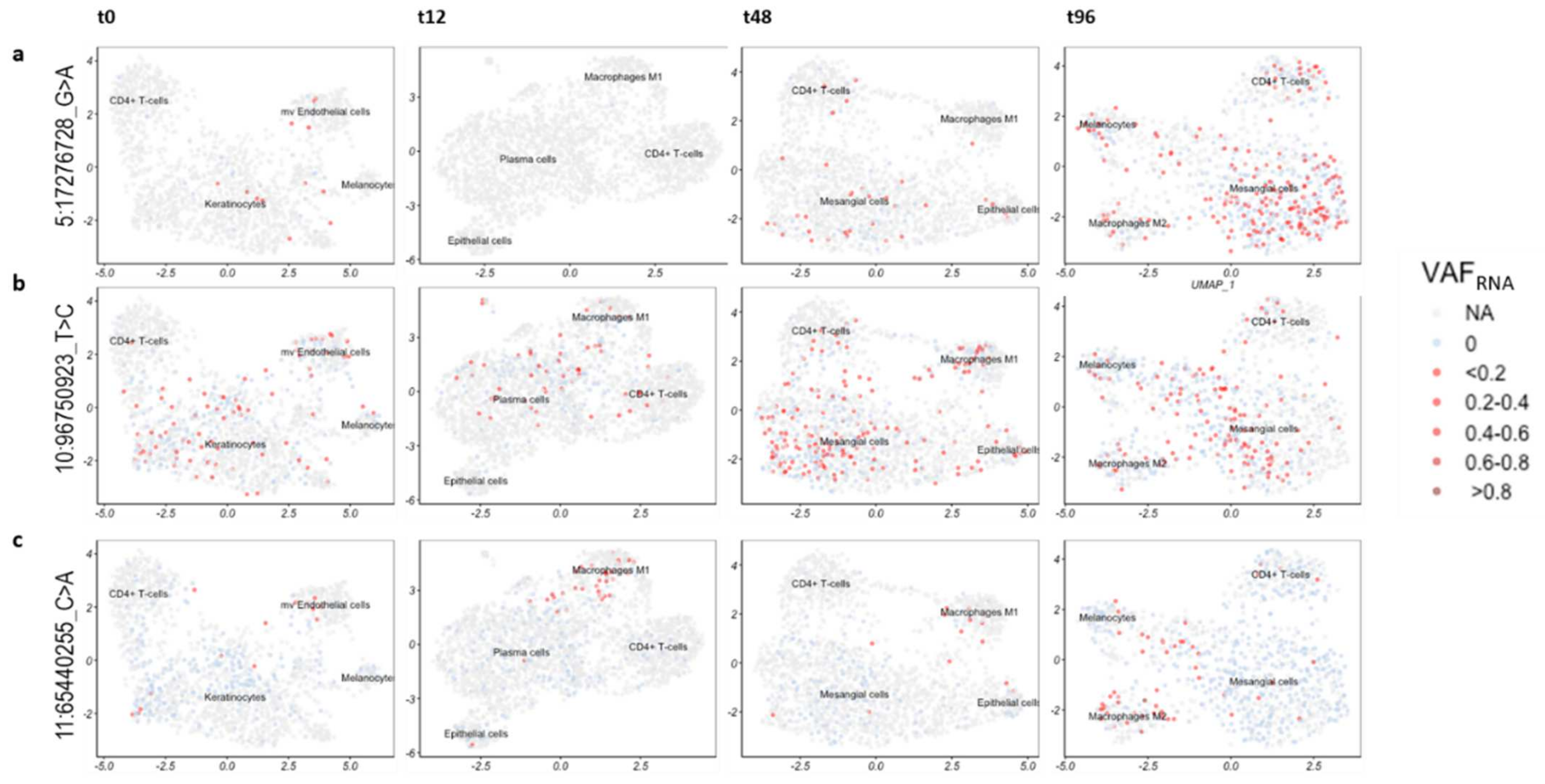 Genes 12 01558 g005 550
