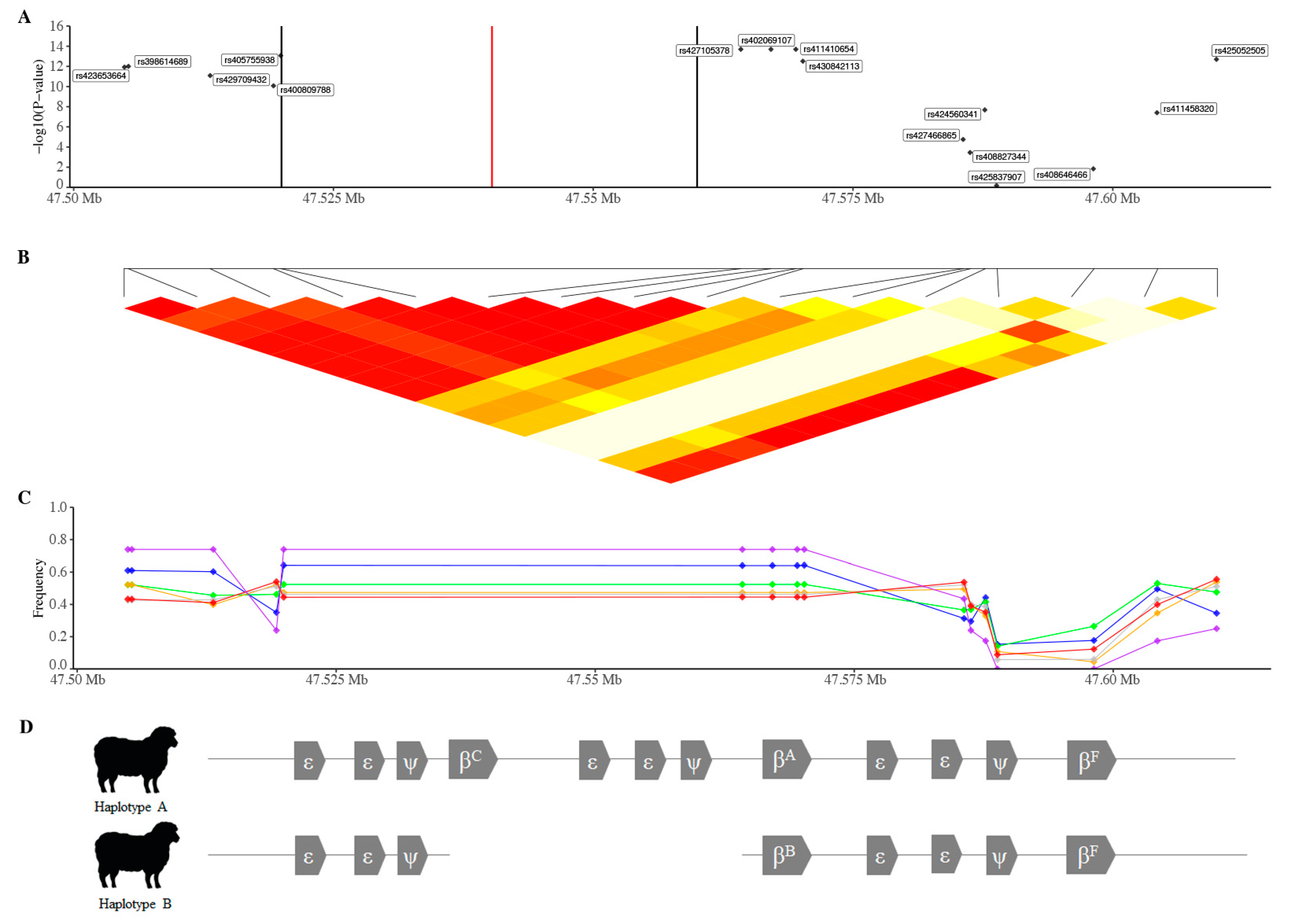 Genes 12 01560 g003 Genes 12 01560 g003