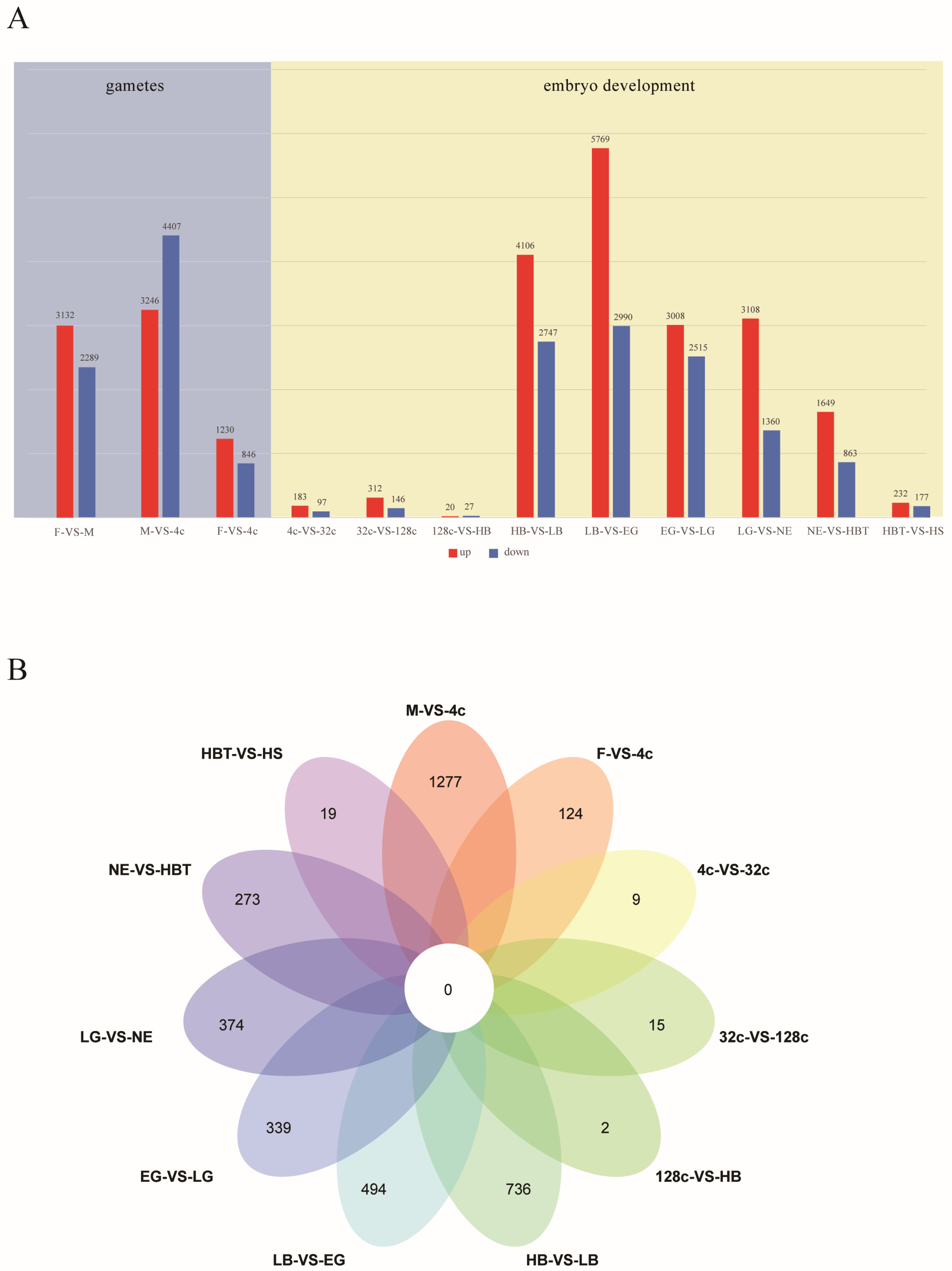 Genes 12 01561 g002