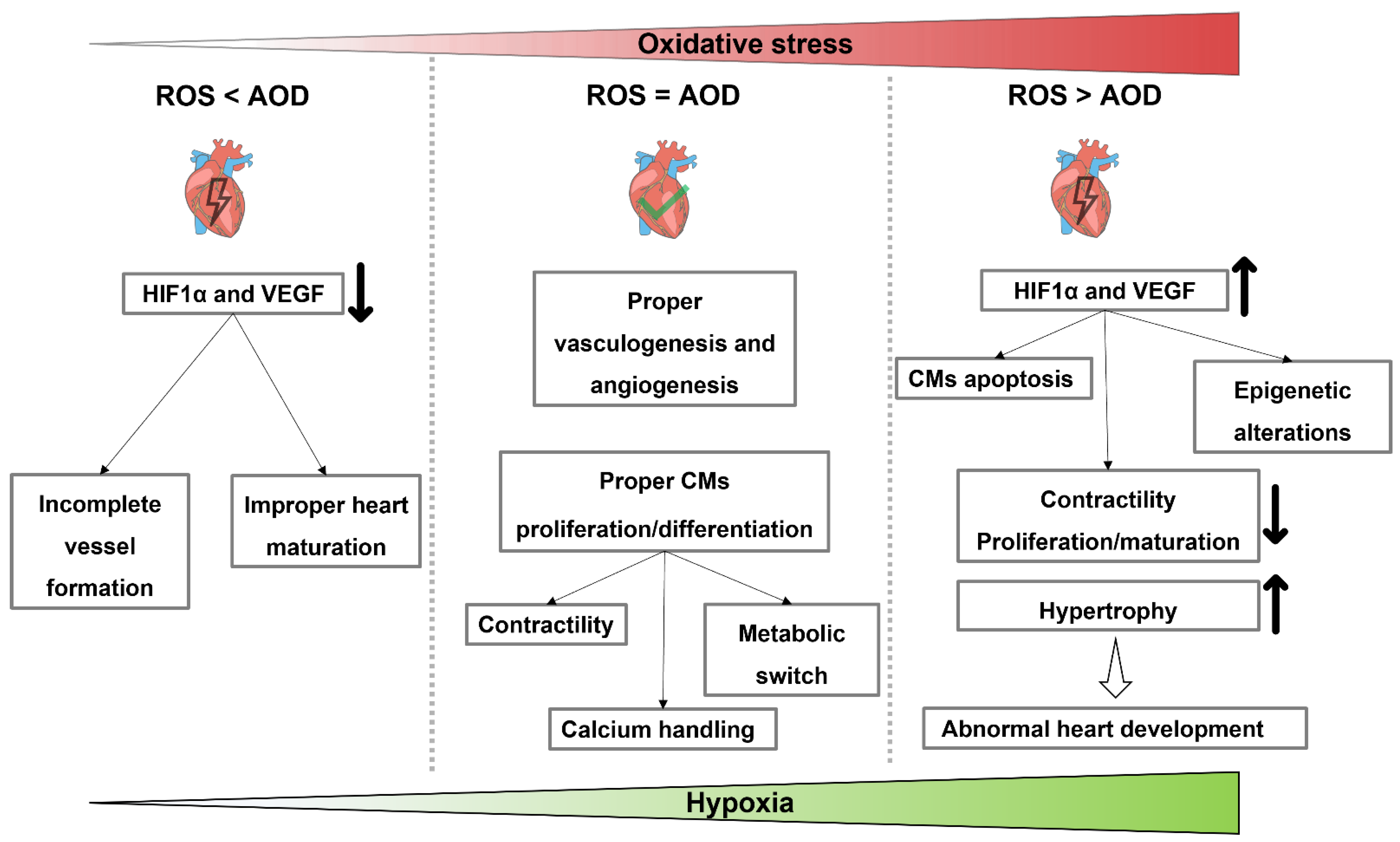 Genes 12 01564 g003 Genes 12 01564 g003