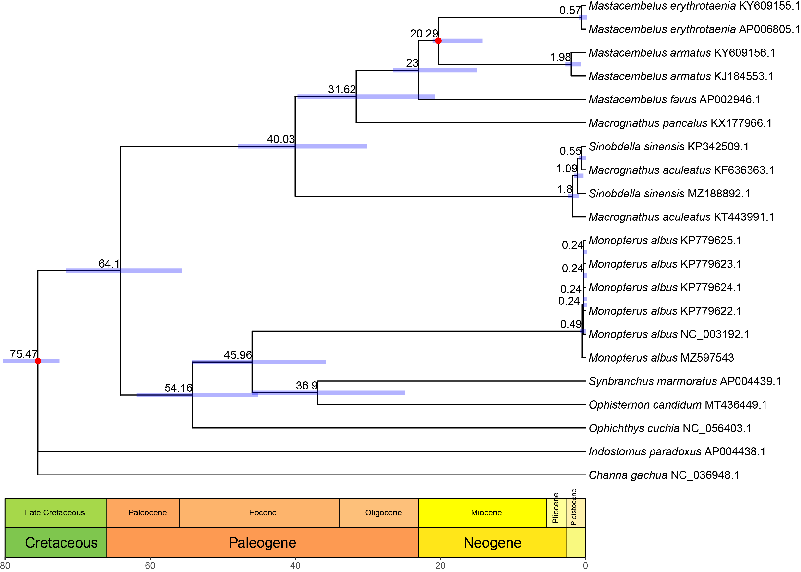 Genes 12 01567 g004 550