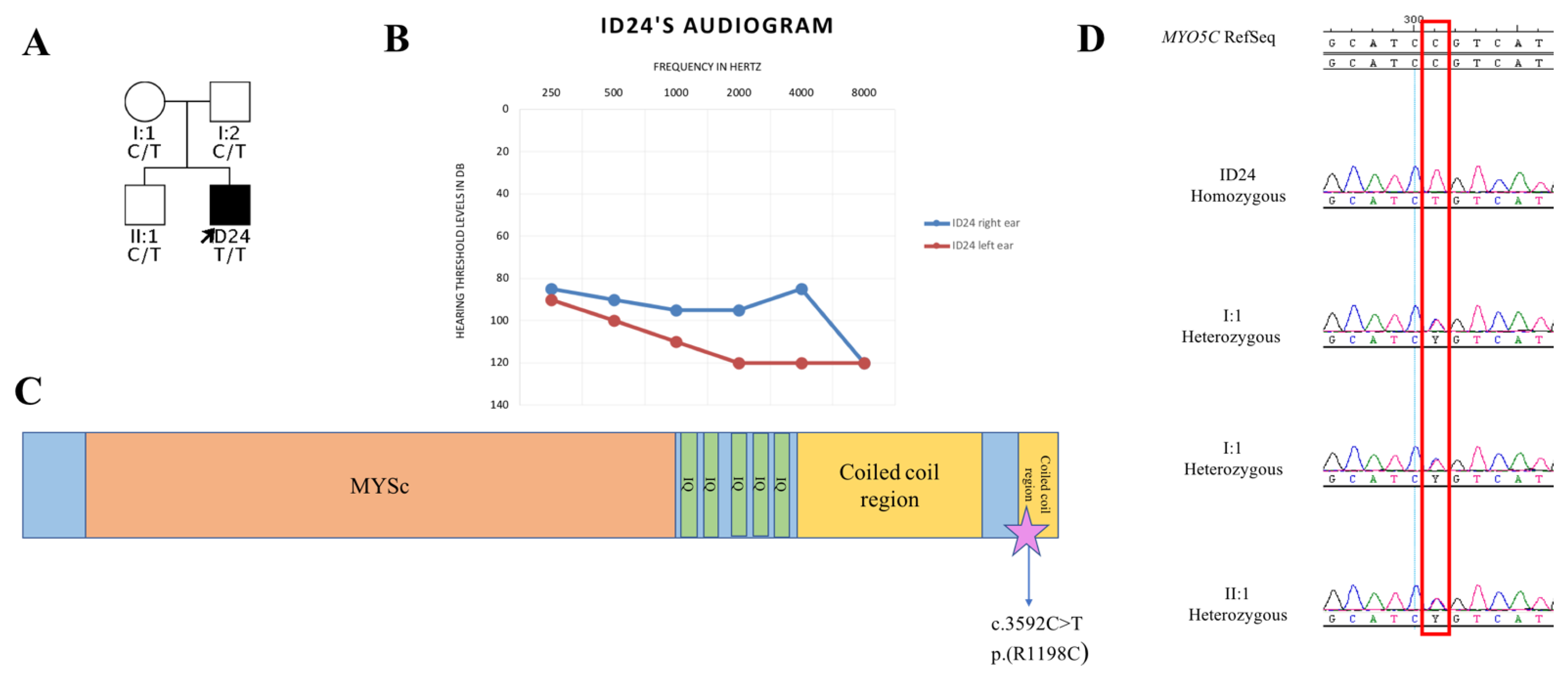 Genes 12 01569 g004 550