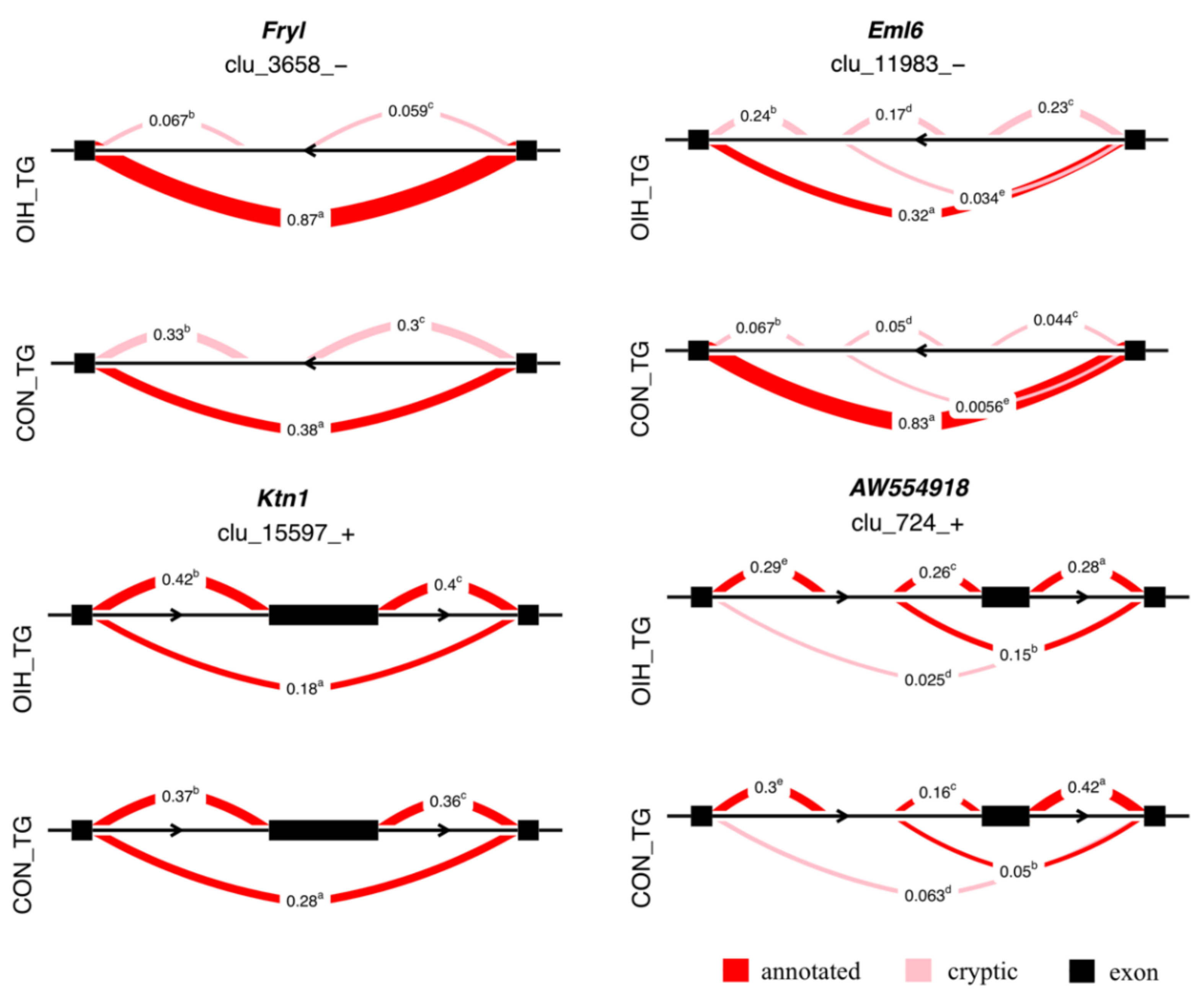 Genes 12 01570 g002 Genes 12 01570 g002