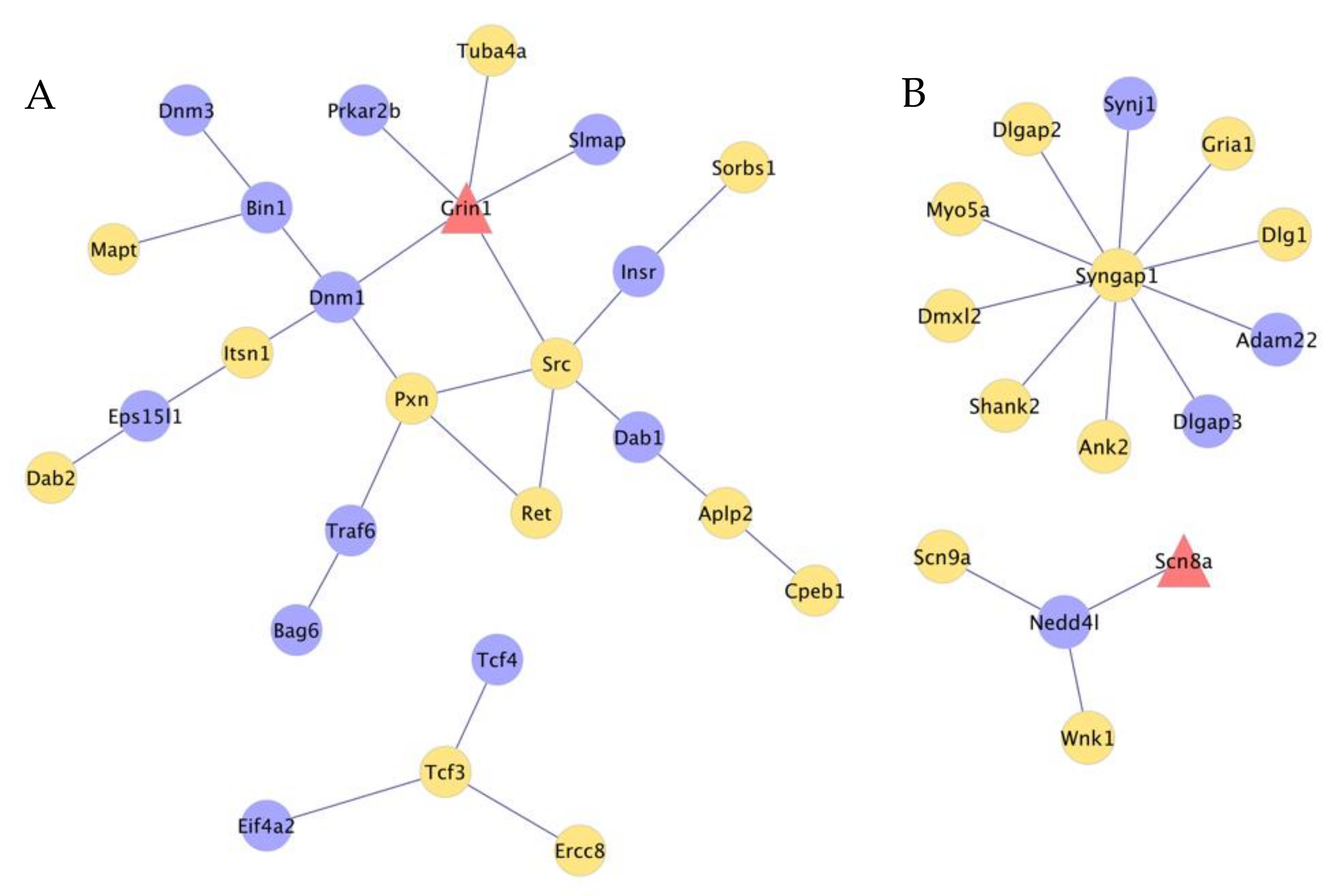 Genes 12 01570 g004 Genes 12 01570 g004