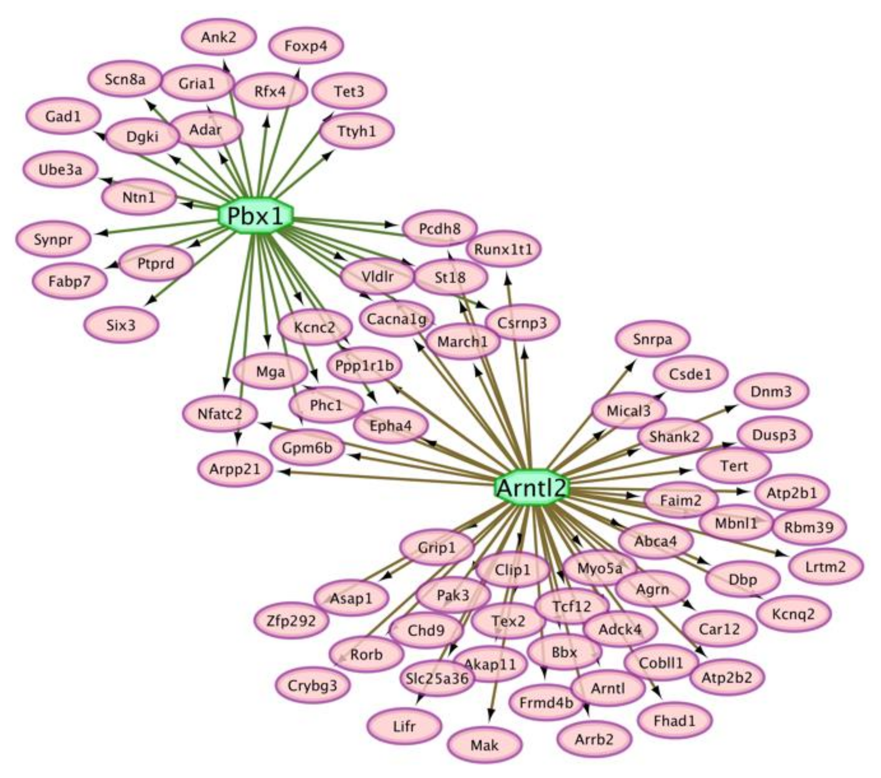 Genes 12 01570 g005 Genes 12 01570 g005