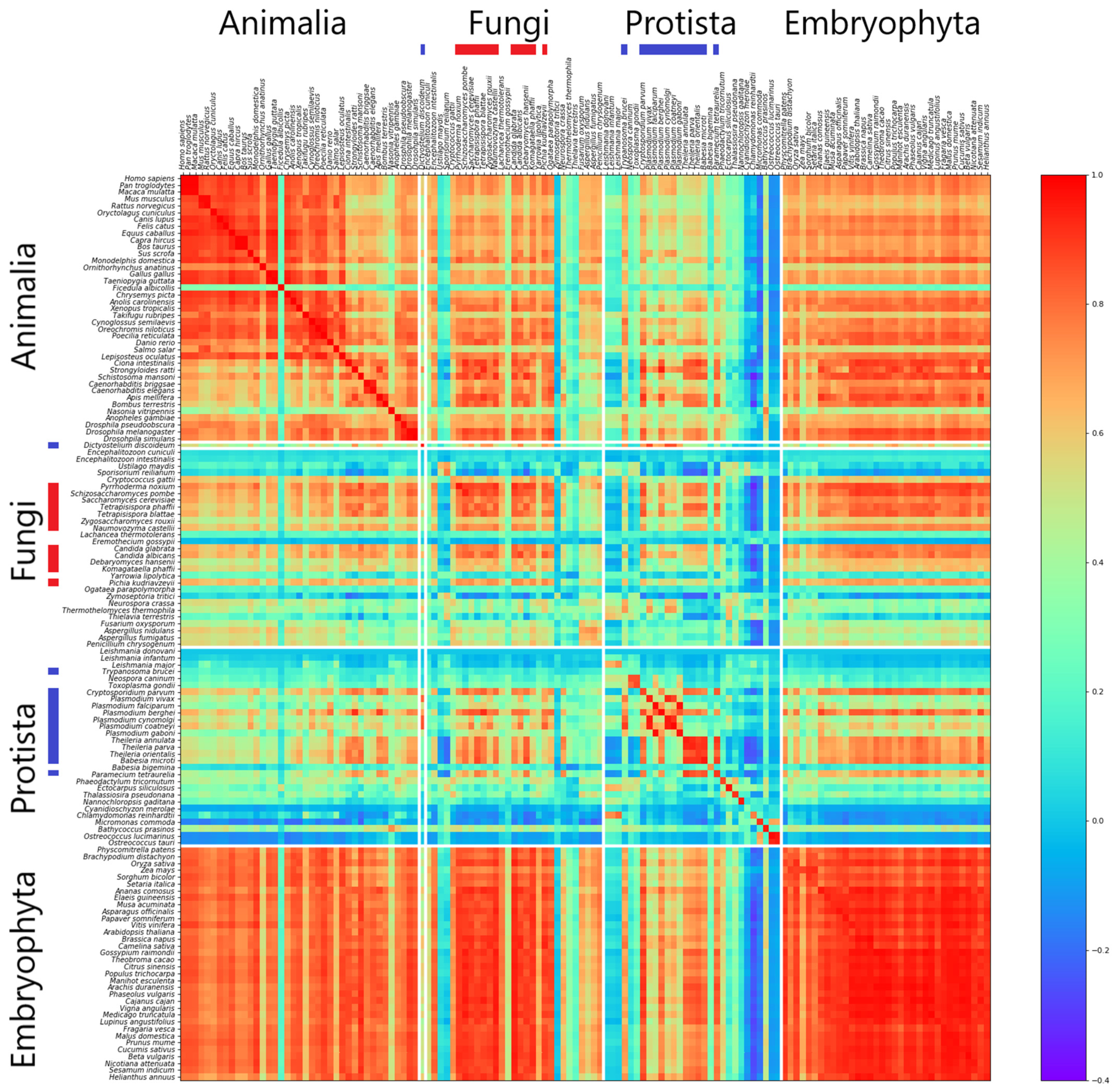 Genes 12 01571 g002 550