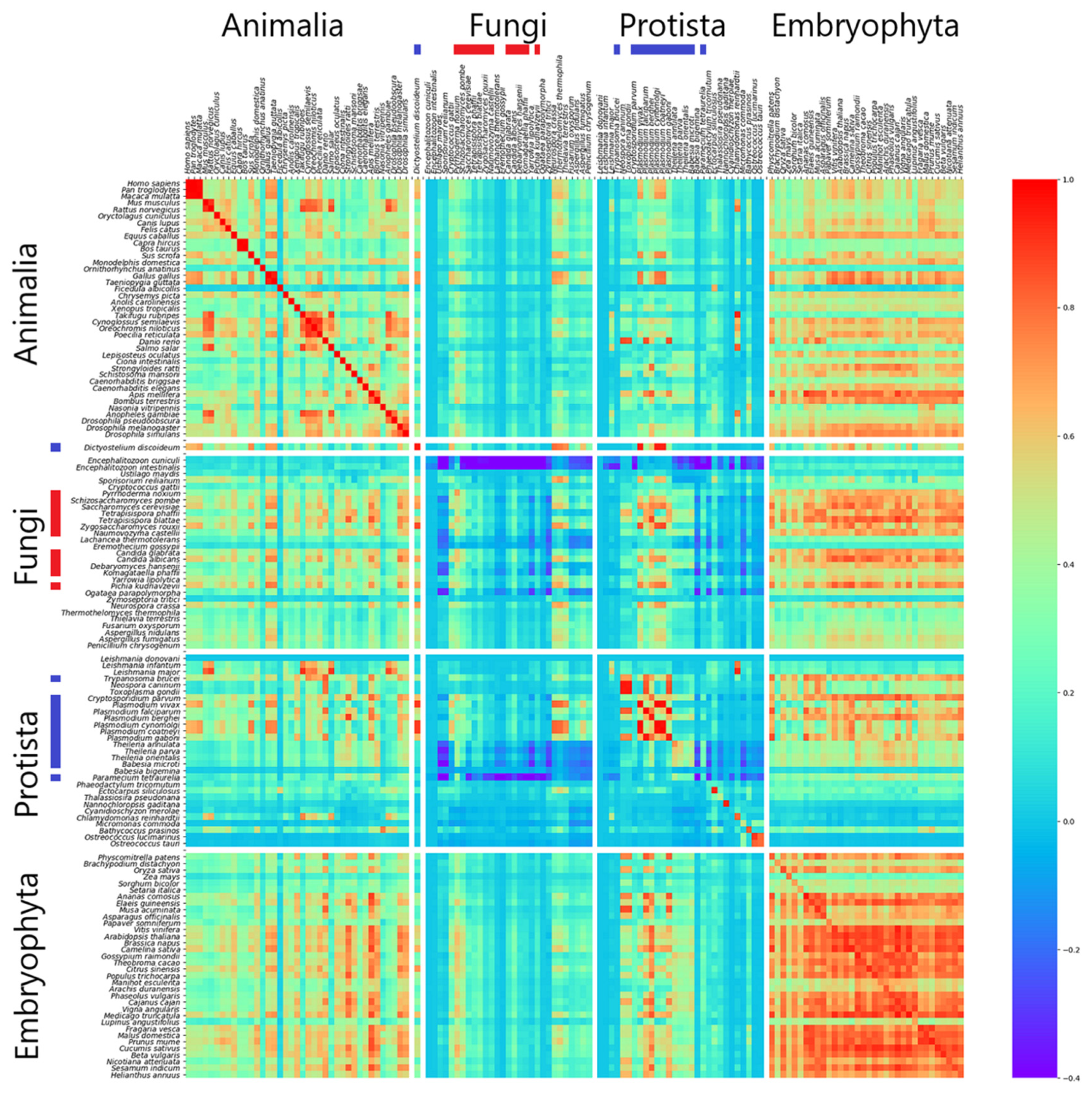 Genes 12 01571 g003 550