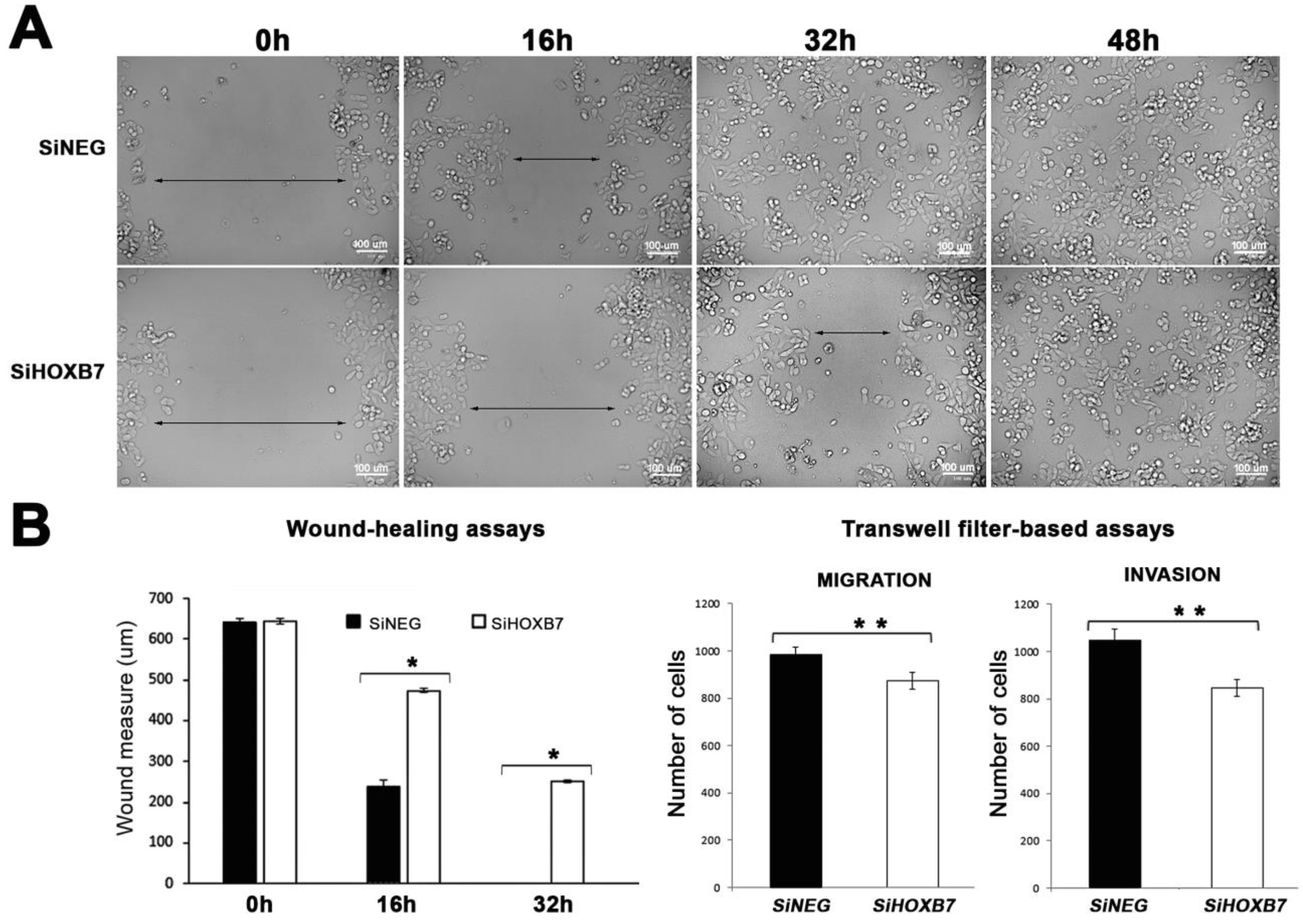 Genes 12 01575 g002 550