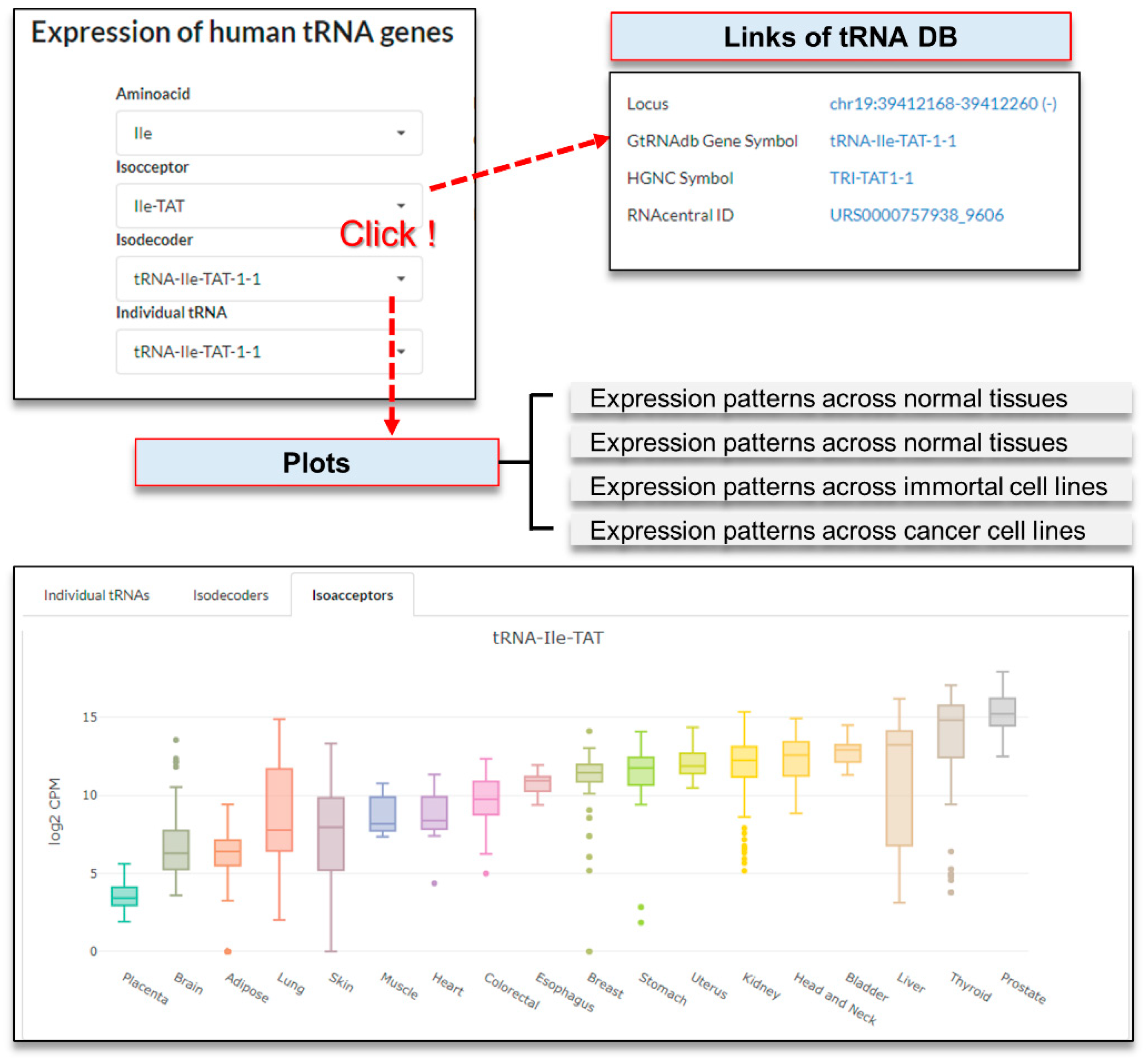 Genes 12 01576 g005 Genes 12 01576 g005