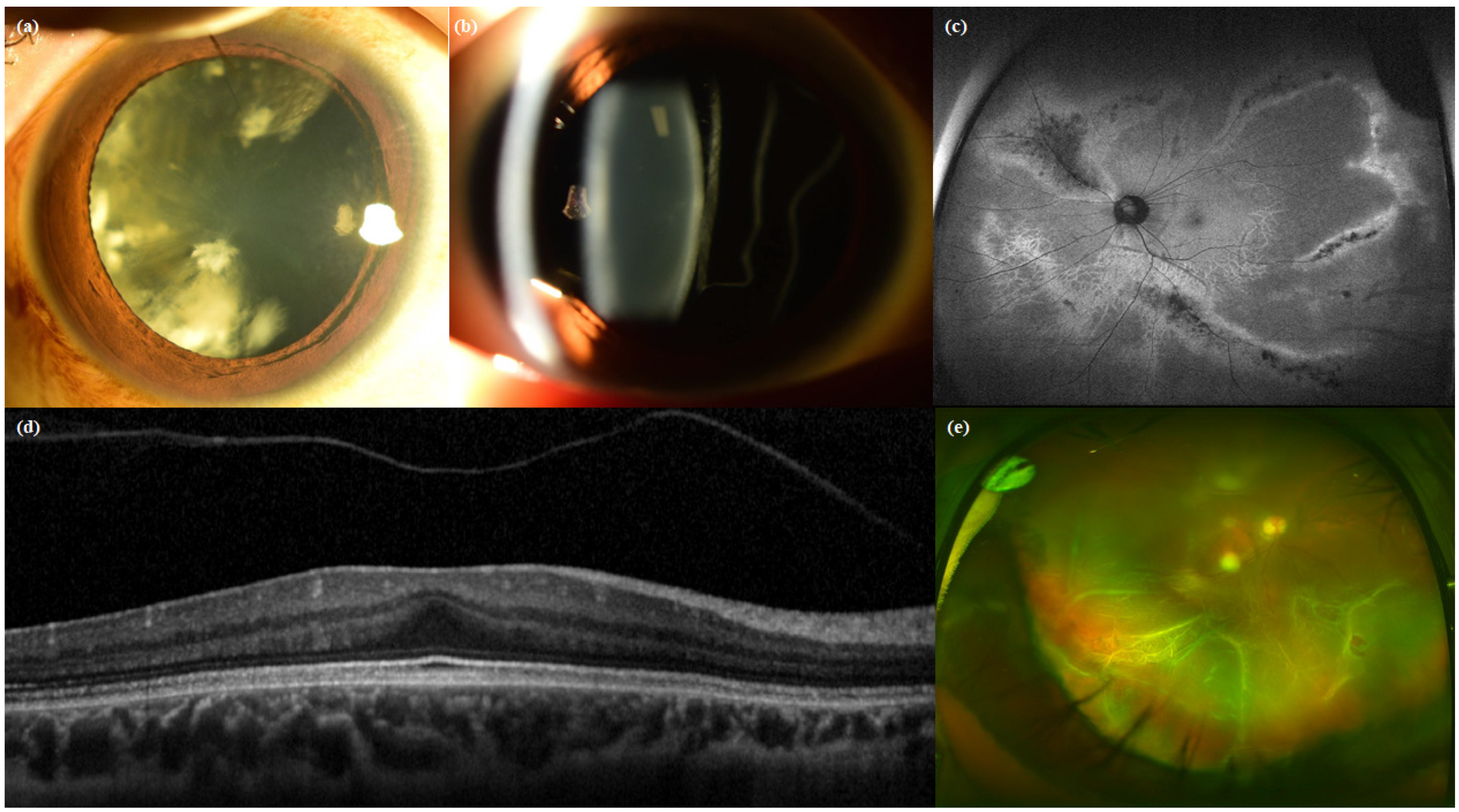 Genes 12 01578 g001 Genes 12 01578 g001