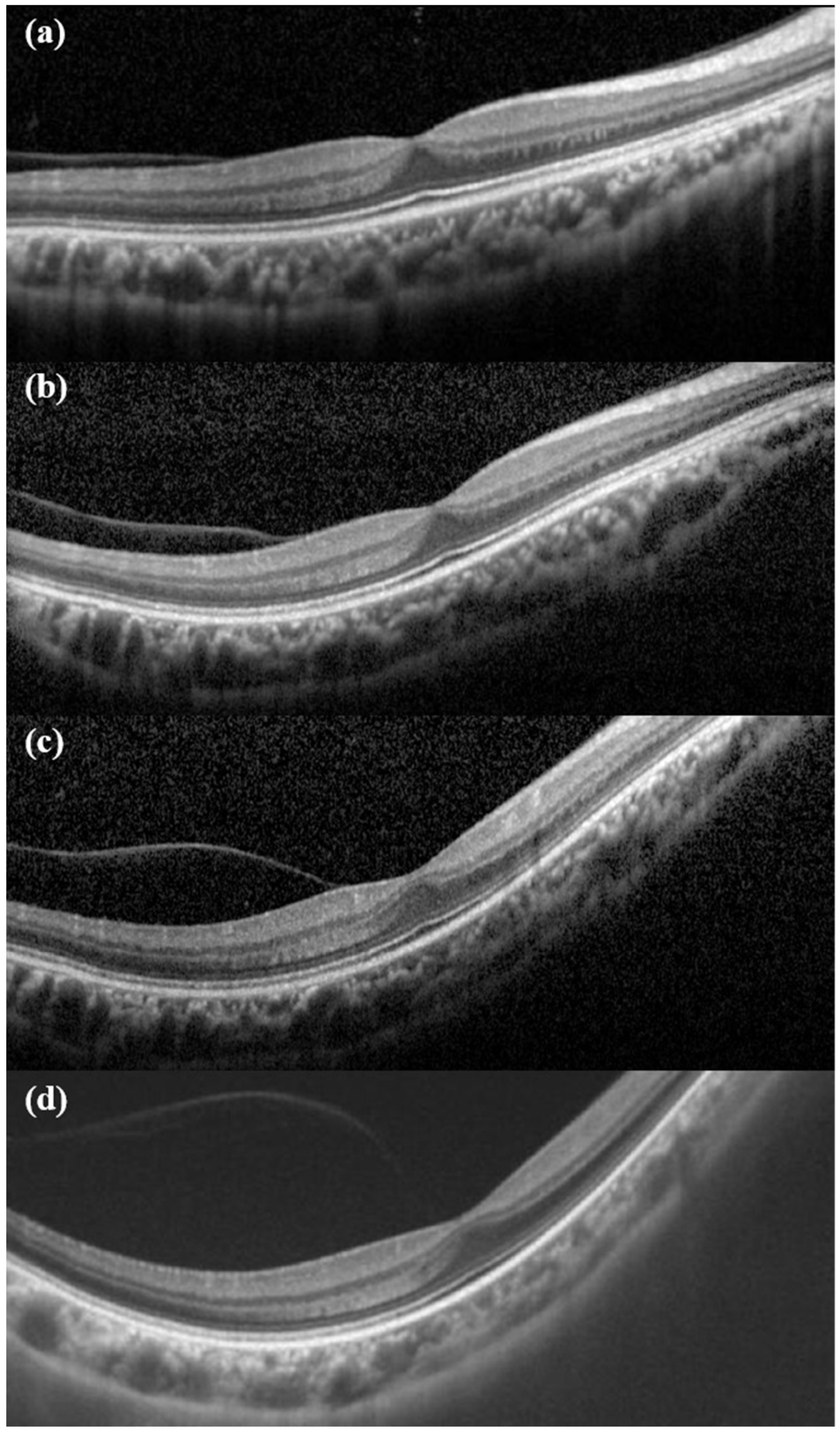 Genes 12 01578 g002 Genes 12 01578 g002