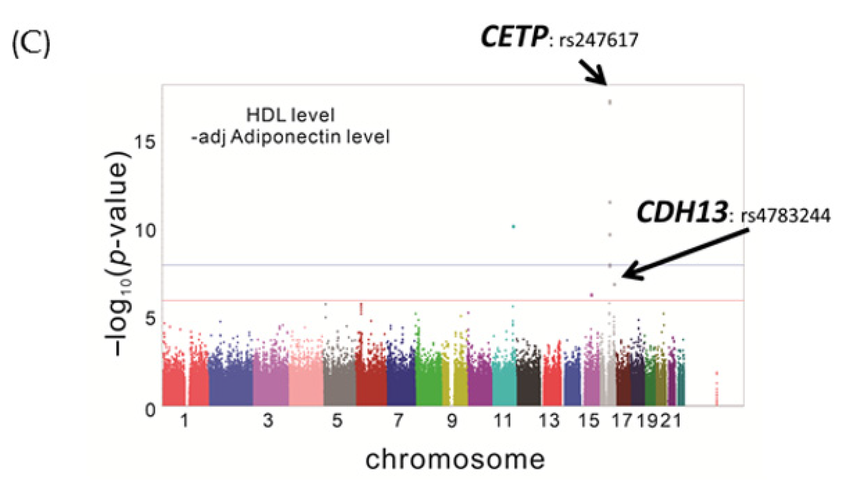 Genes 12 01582 g001b Genes 12 01582 g001b