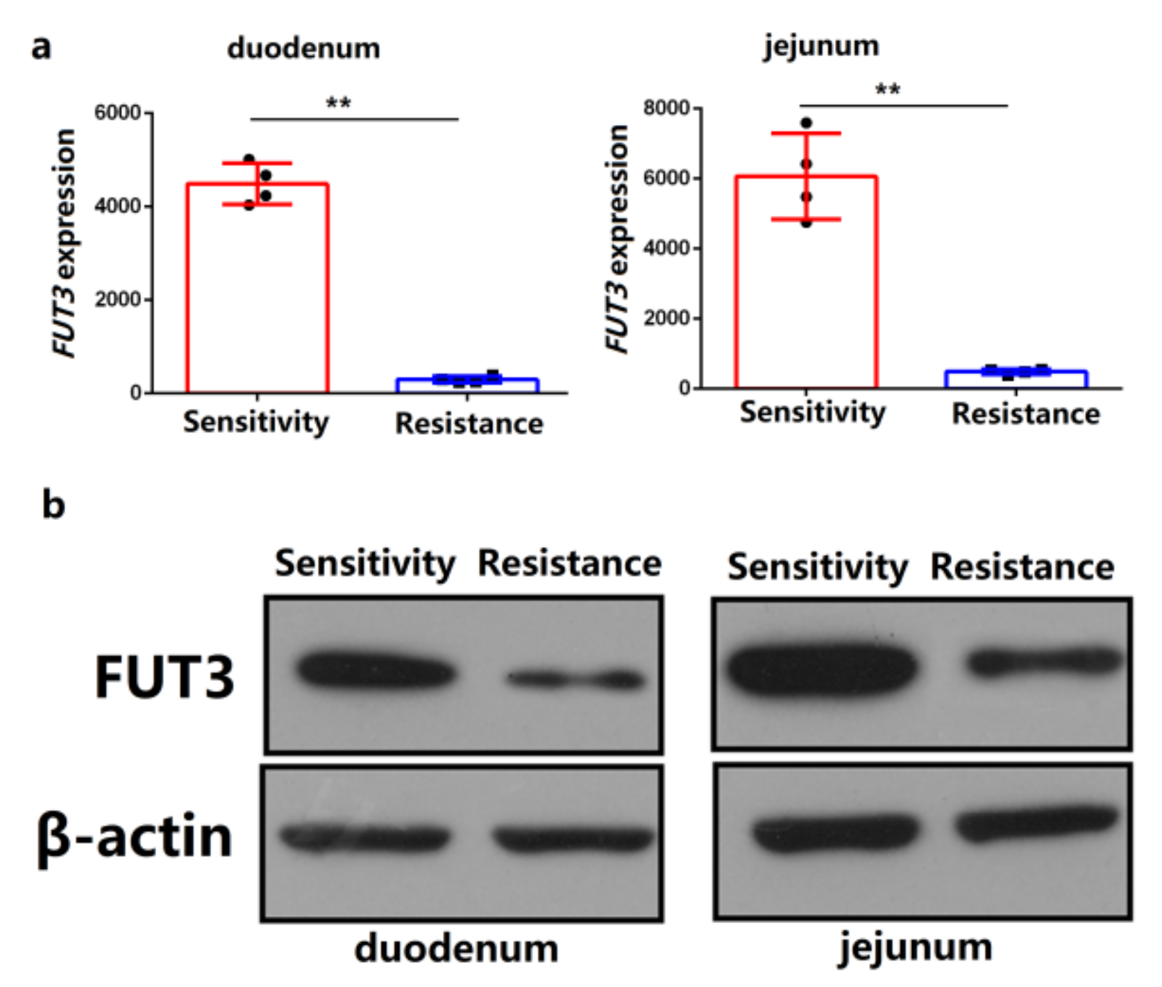 Genes 12 01586 g002 550