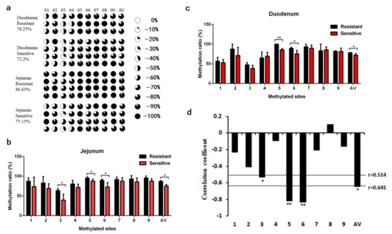 DNA Methylation of Pig FUT3 Promoter Alters mRNA Expression