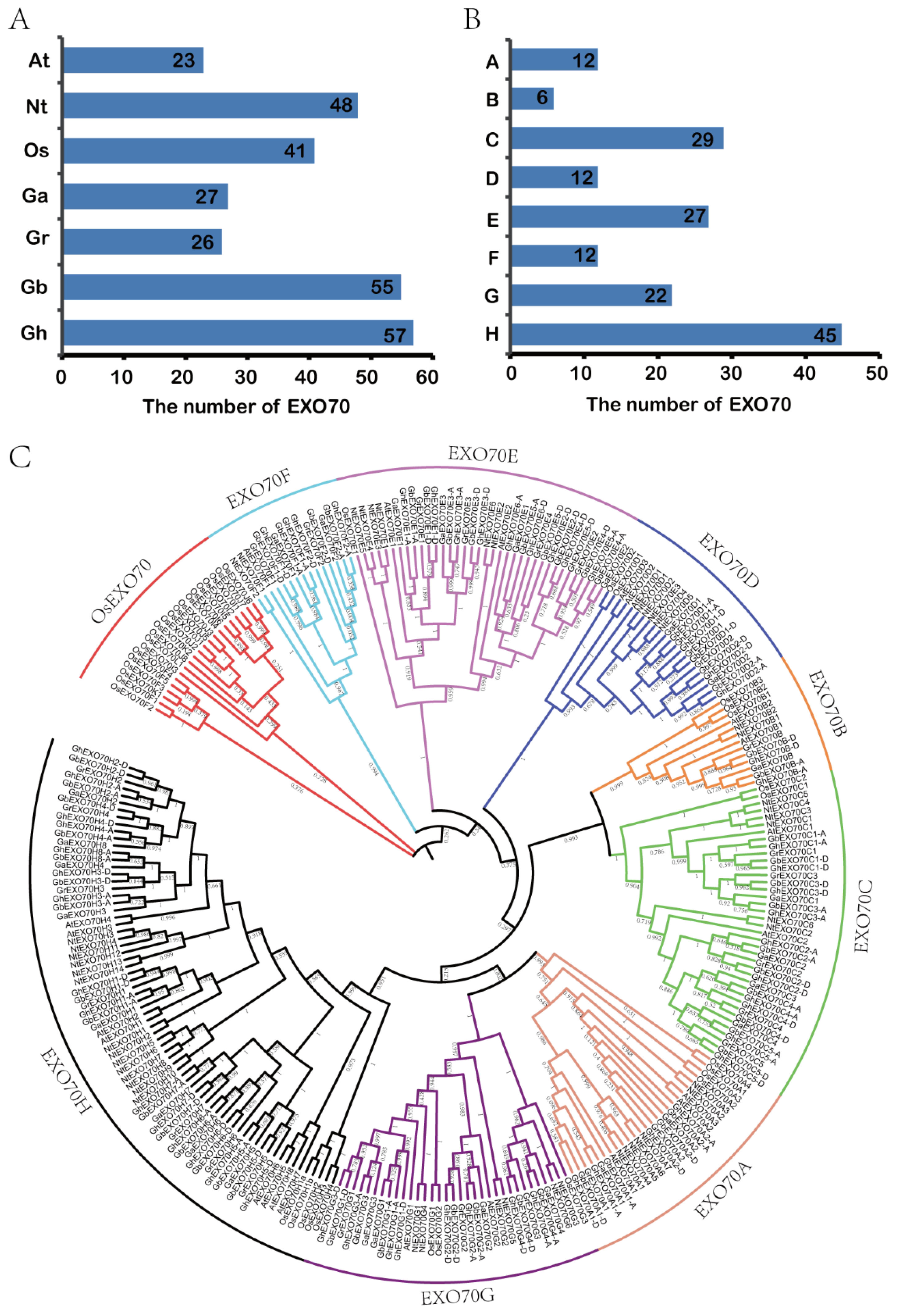 Genes 12 01594 g001 550