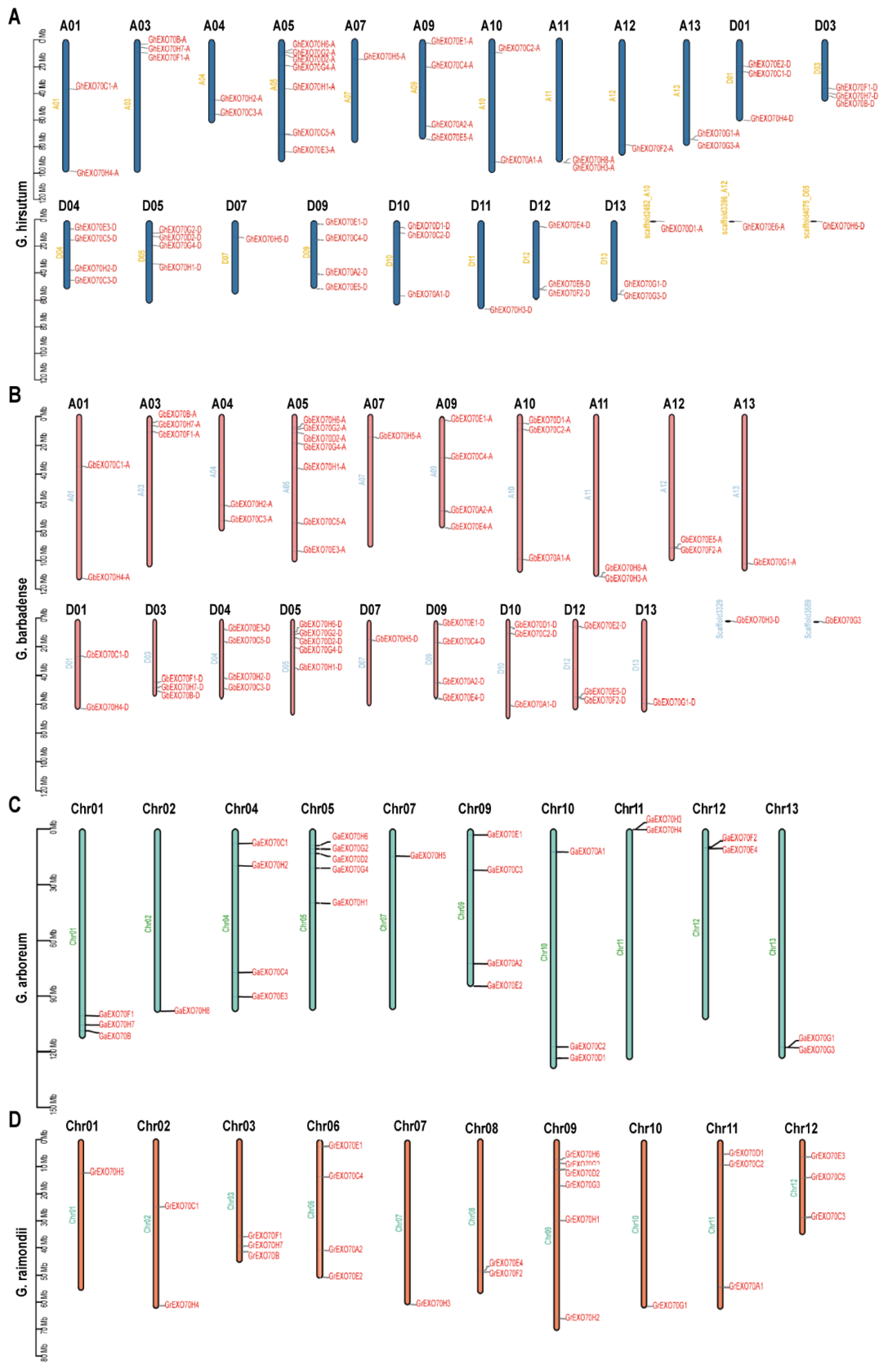 Genes 12 01594 g002 550