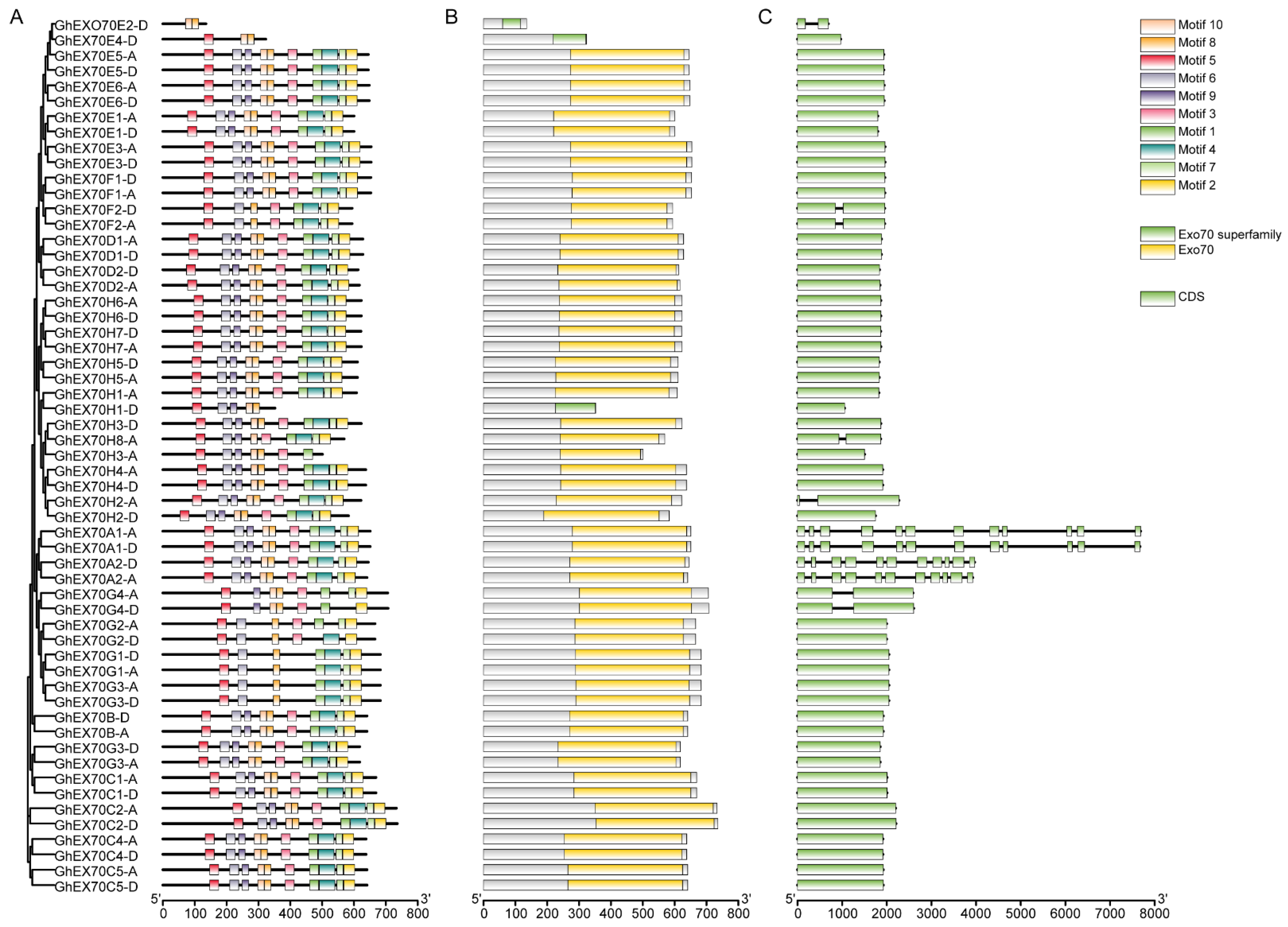 Genes 12 01594 g003 550