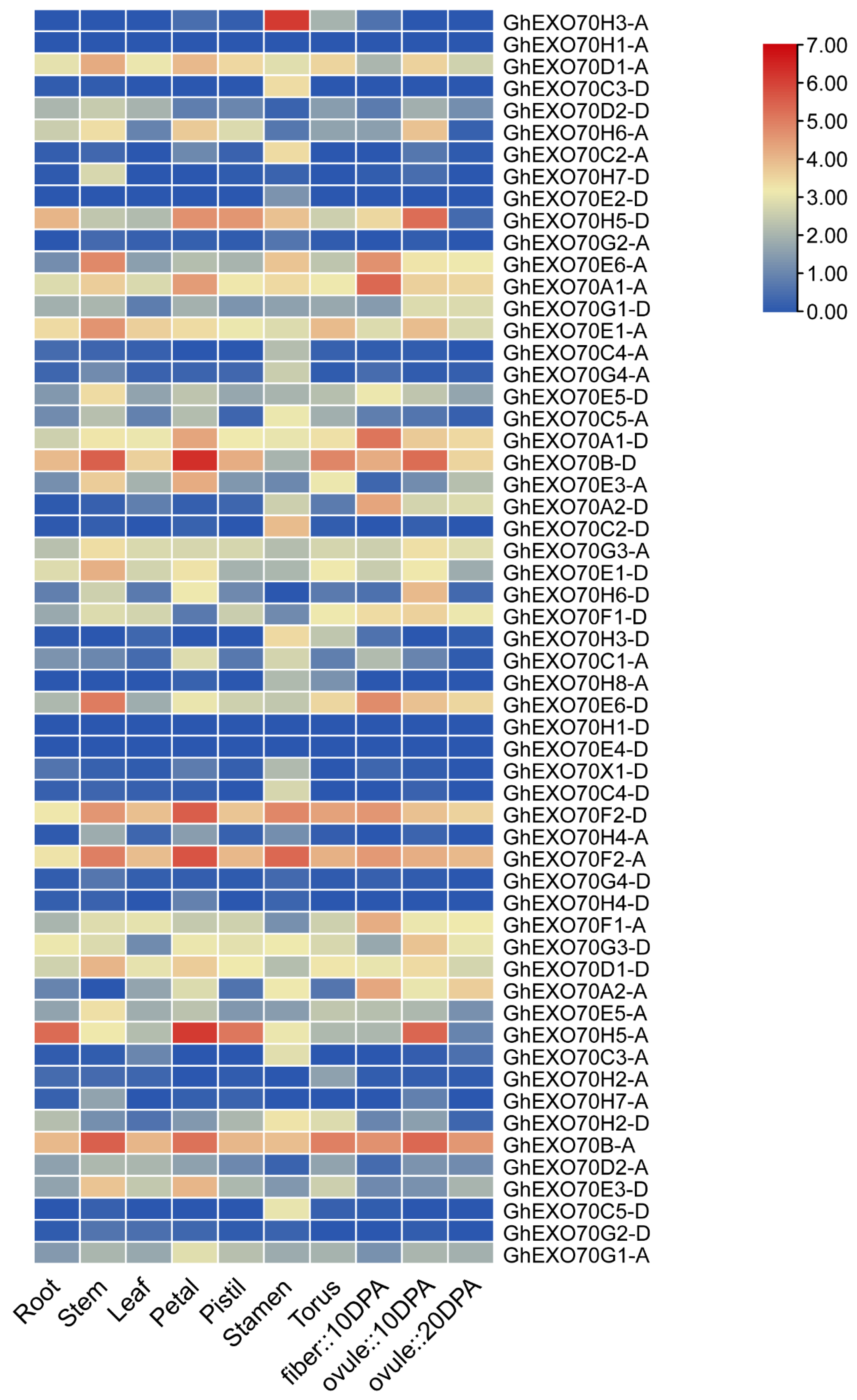 Genes 12 01594 g004 550