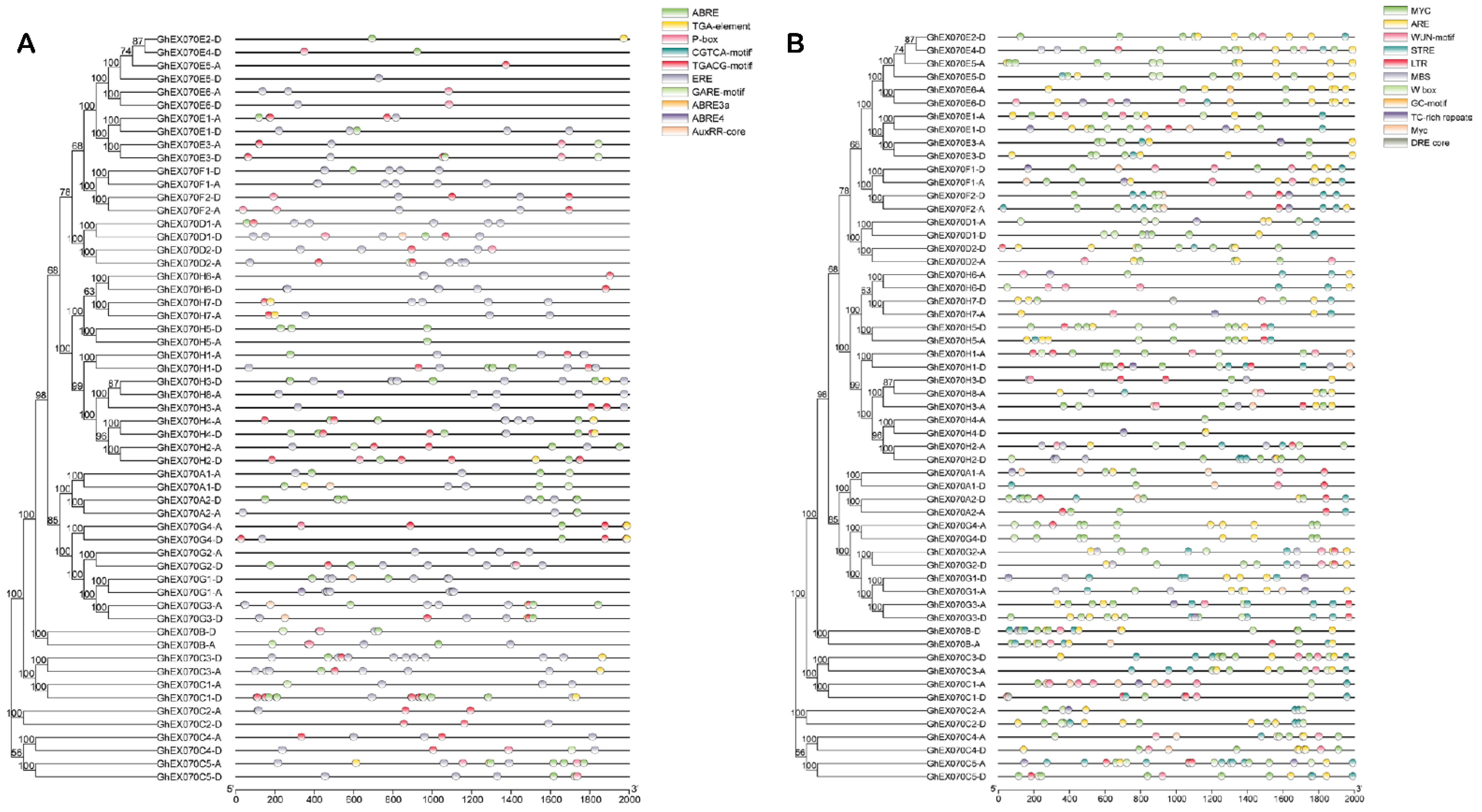 Genes 12 01594 g005 550
