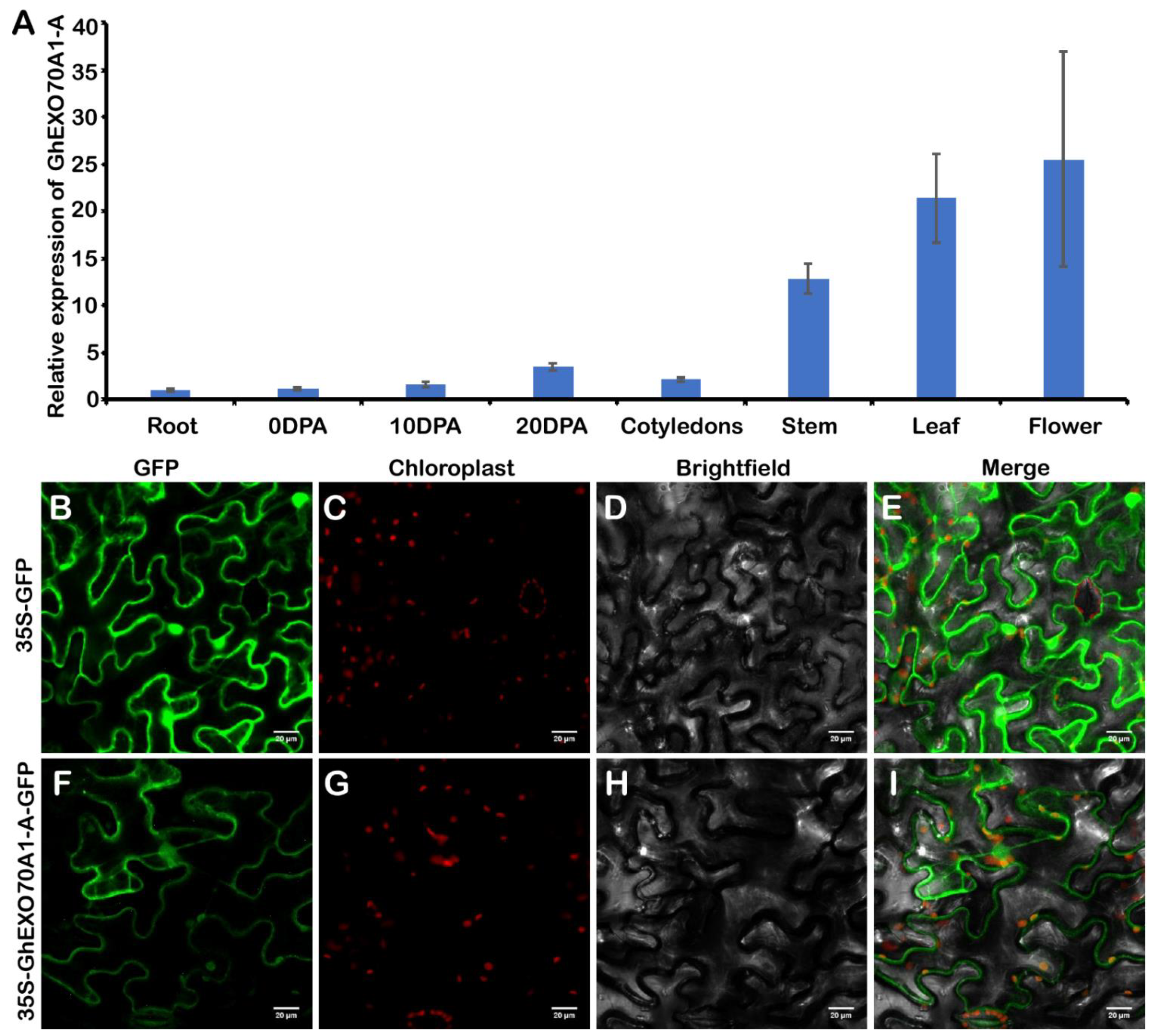 Genes 12 01594 g006 550