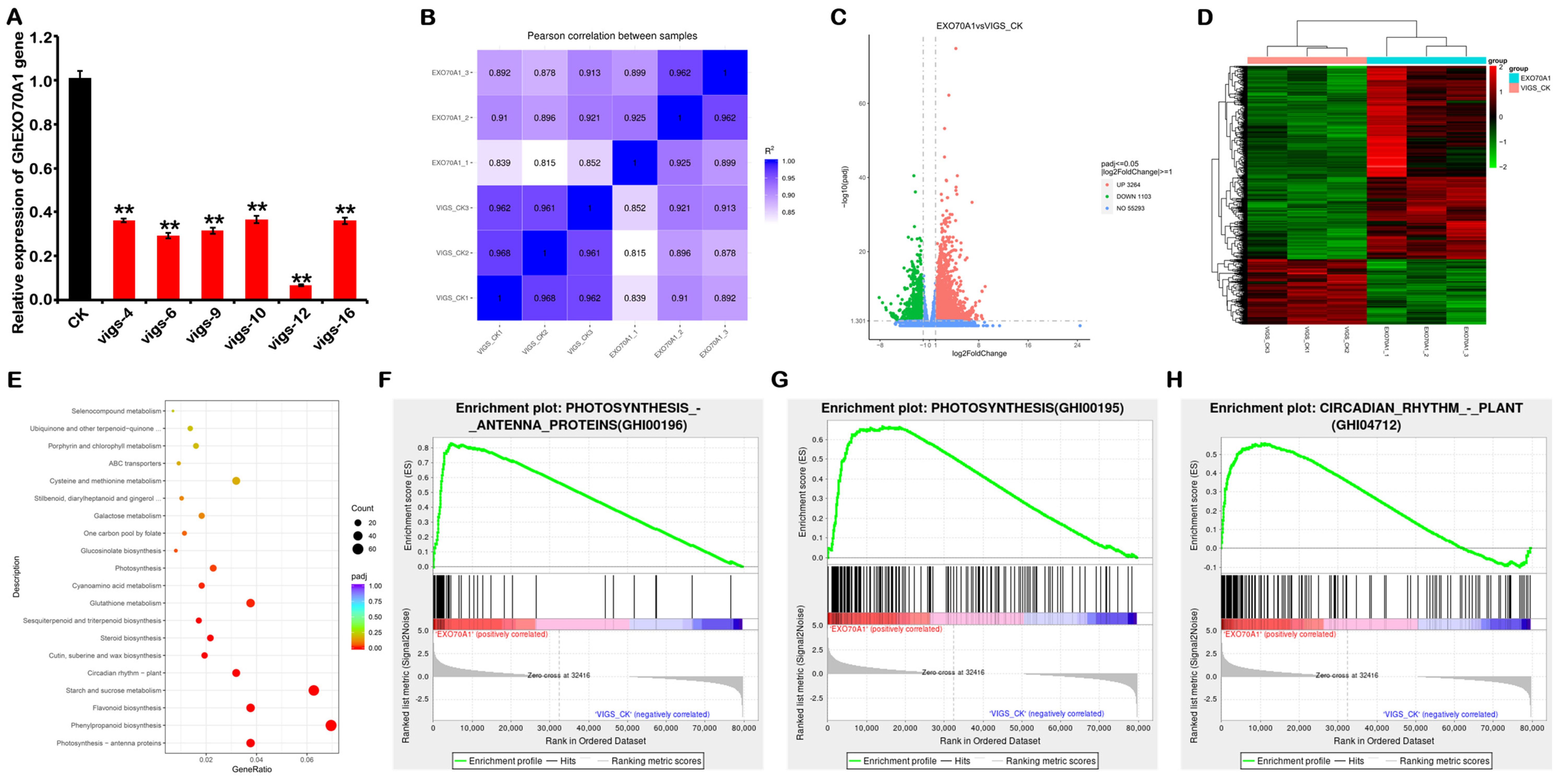 Genes 12 01594 g008 550