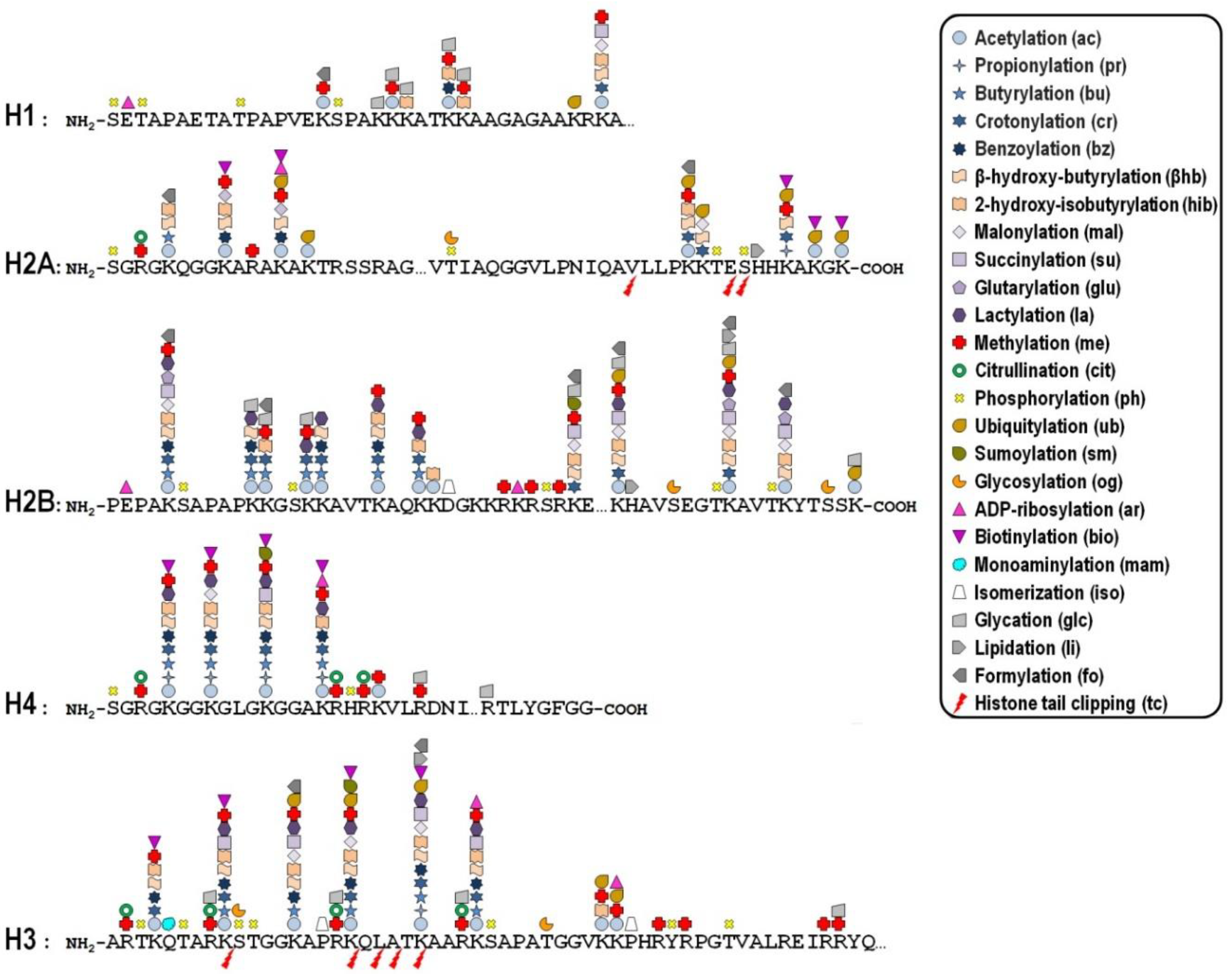 Genes 12 01596 g001 Genes 12 01596 g001