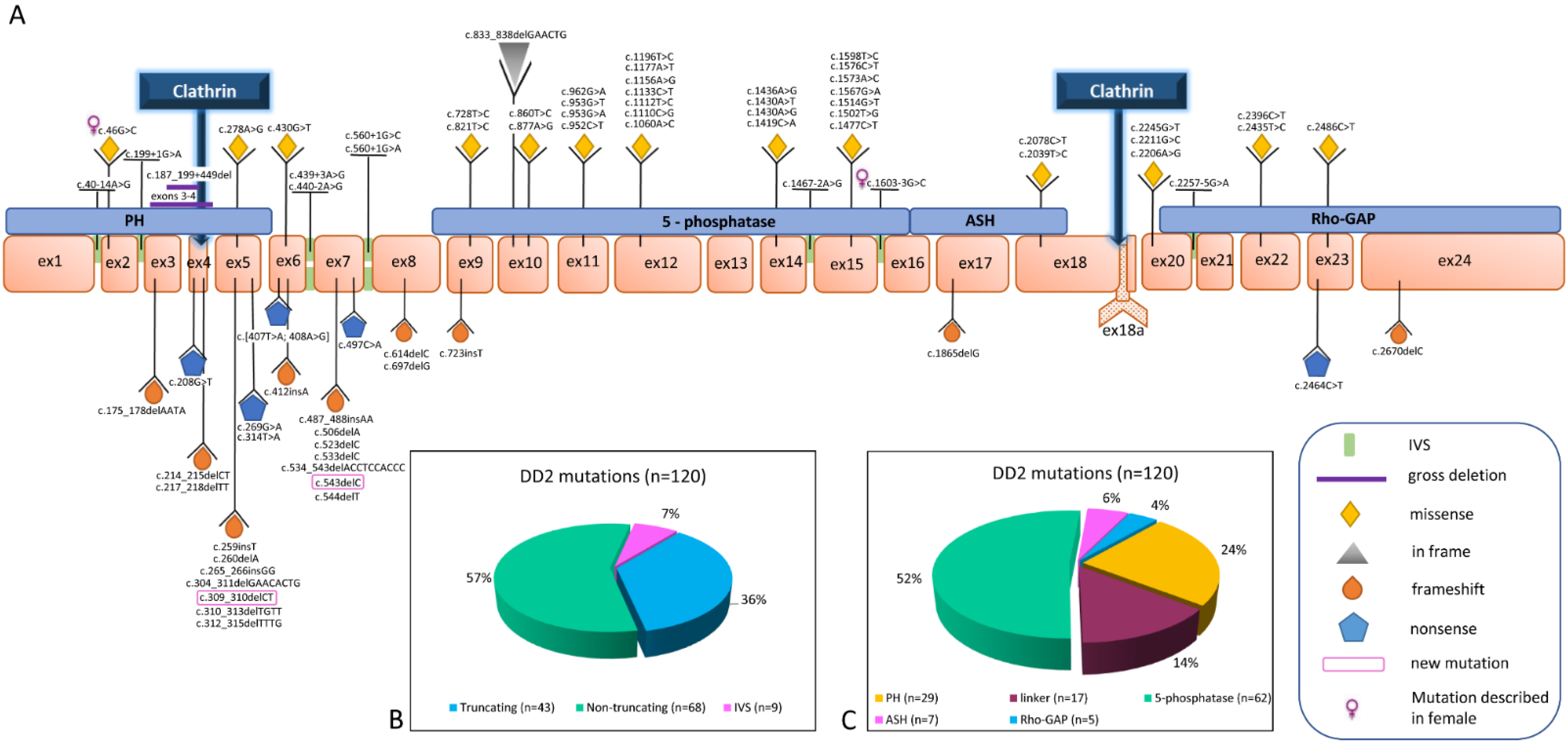 Genes 12 01597 g002