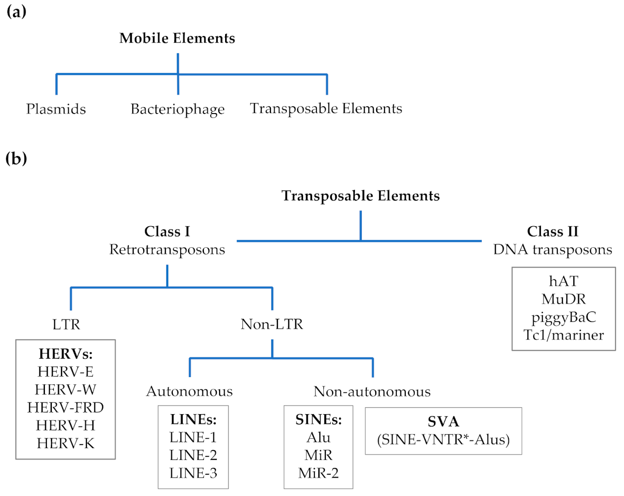 Genes 12 01605 g001