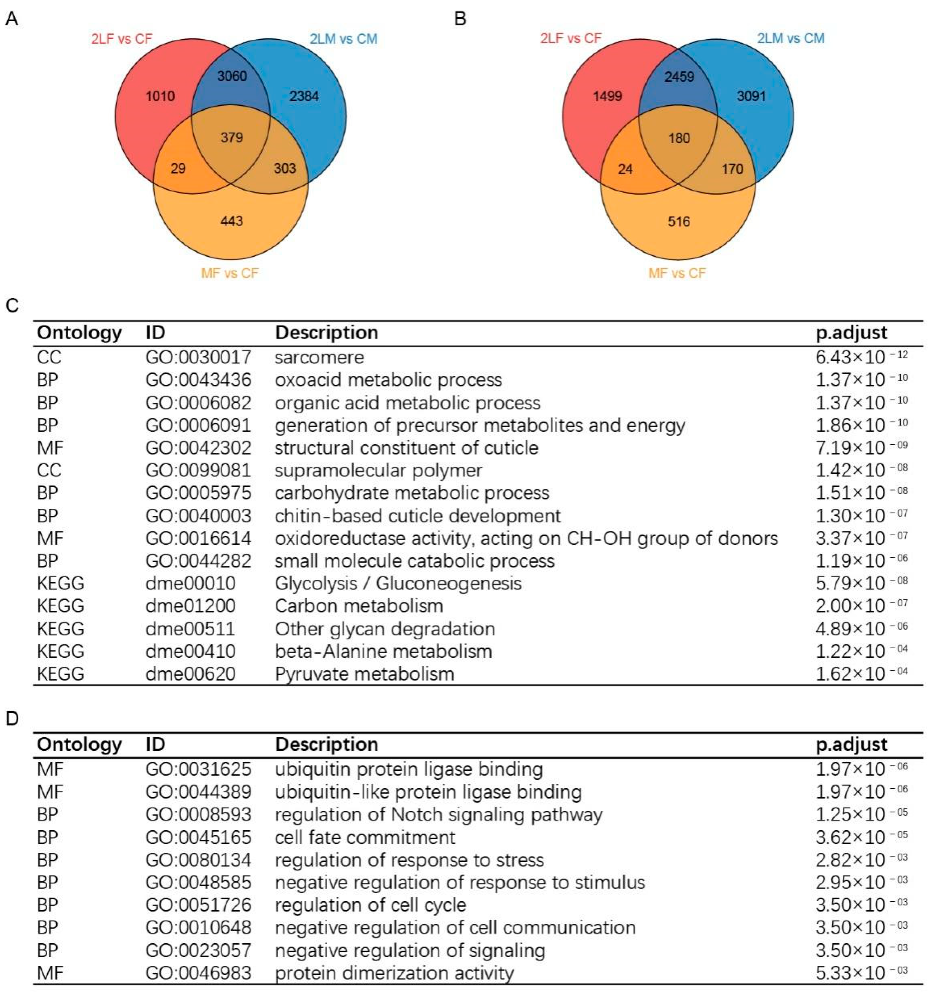 Genes 12 01606 g002 Genes 12 01606 g002