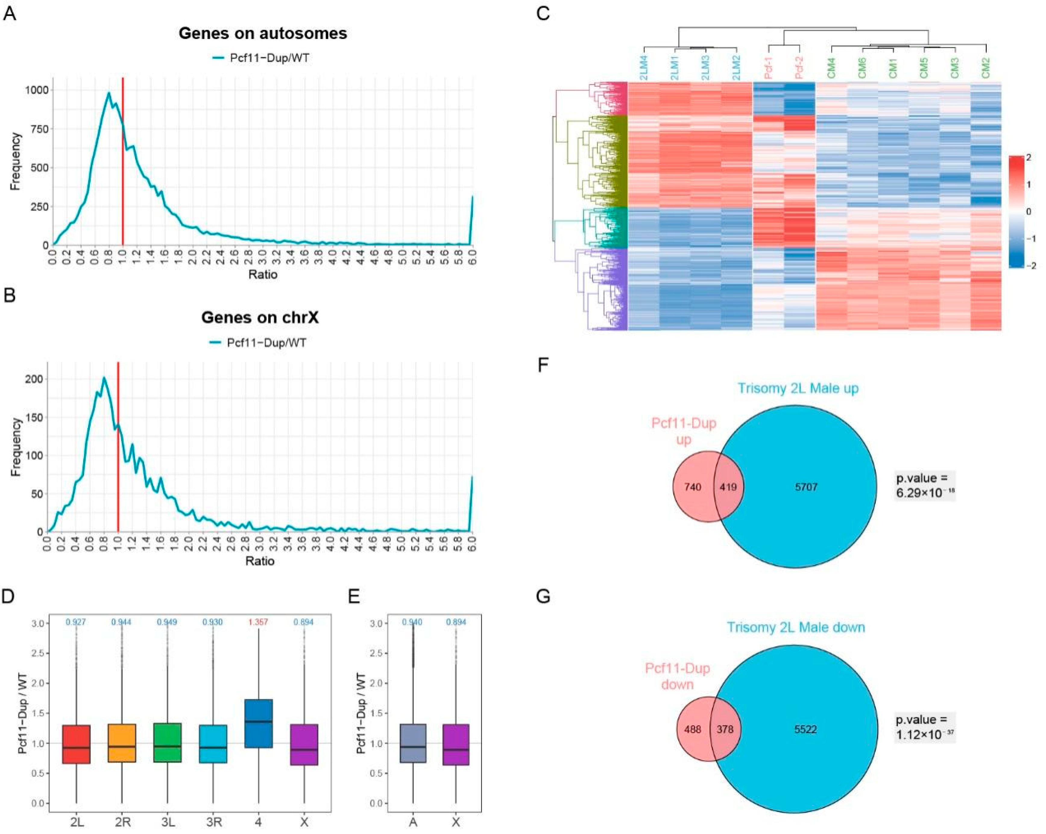 Genes 12 01606 g005 Genes 12 01606 g005