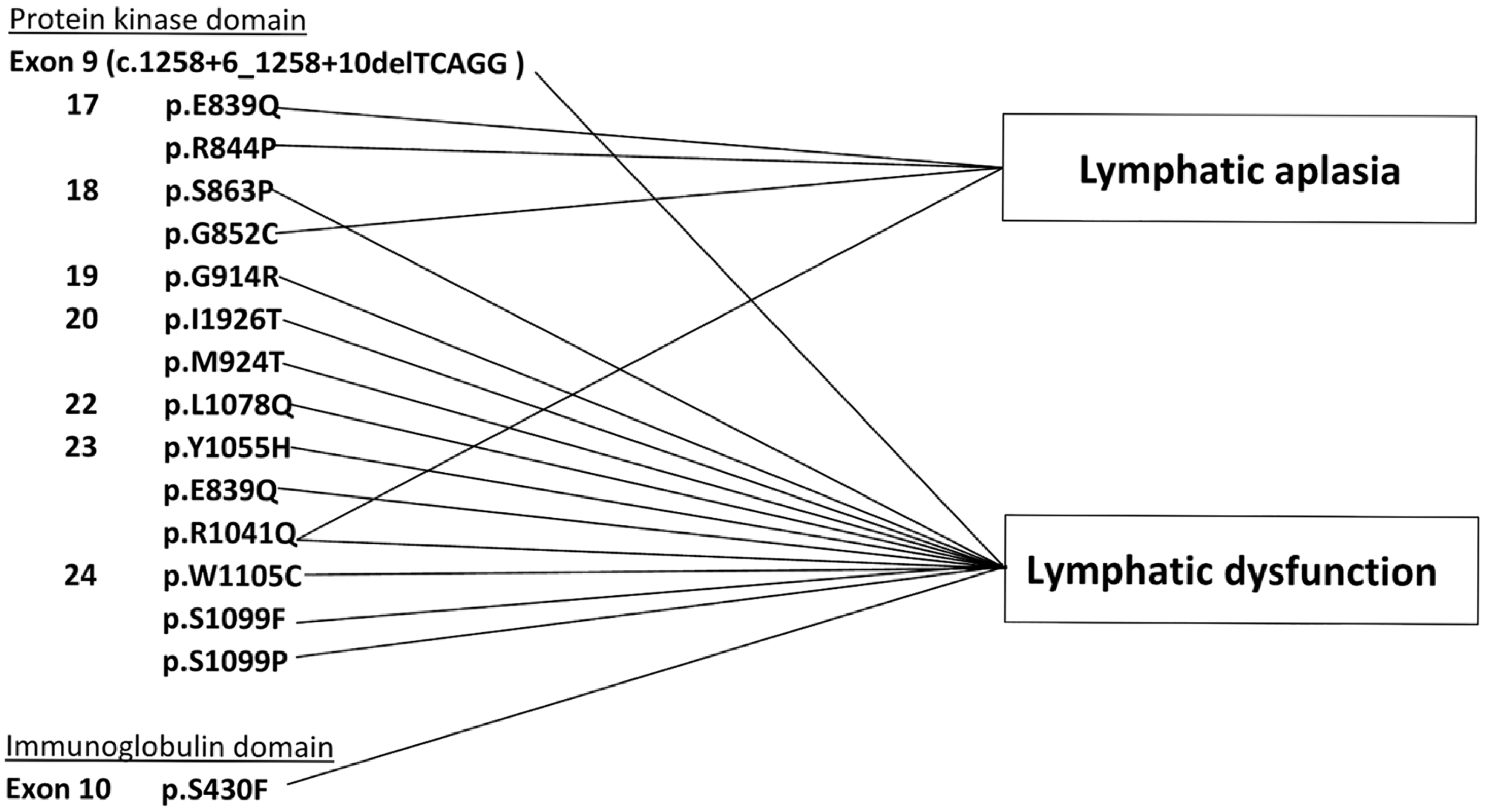 Genes 12 01611 g003