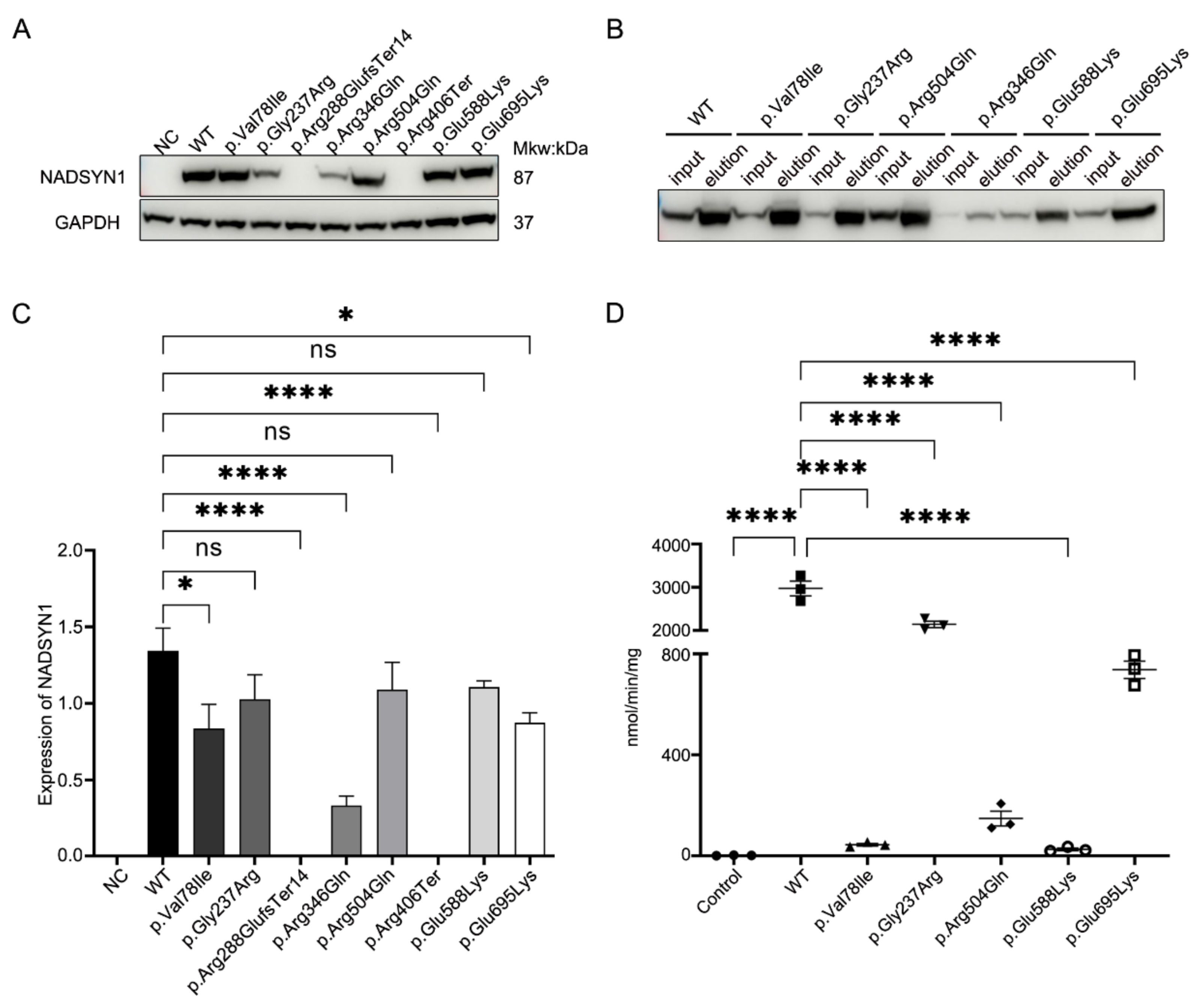 Genes 12 01615 g002