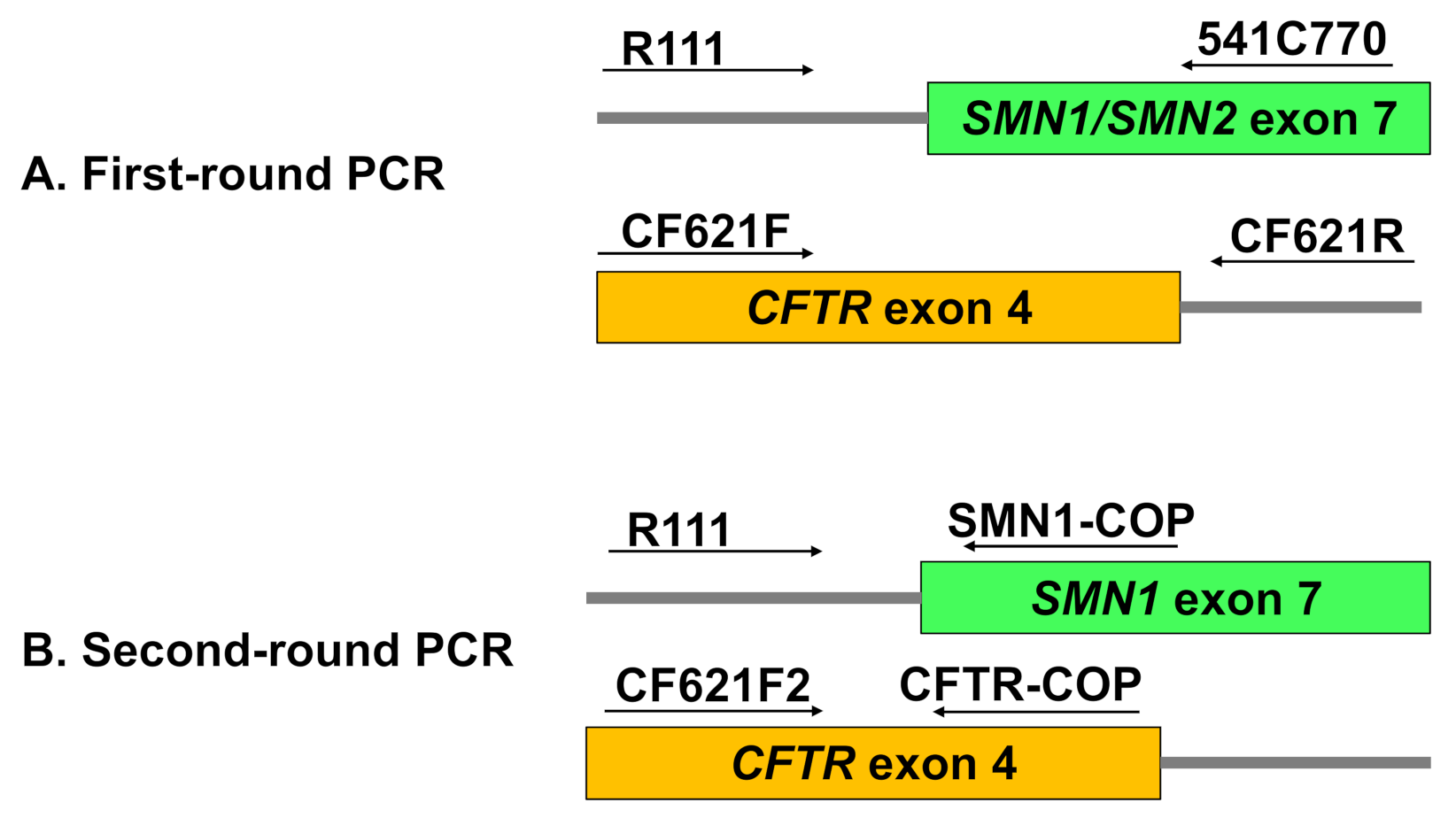 Genes 12 01621 g001