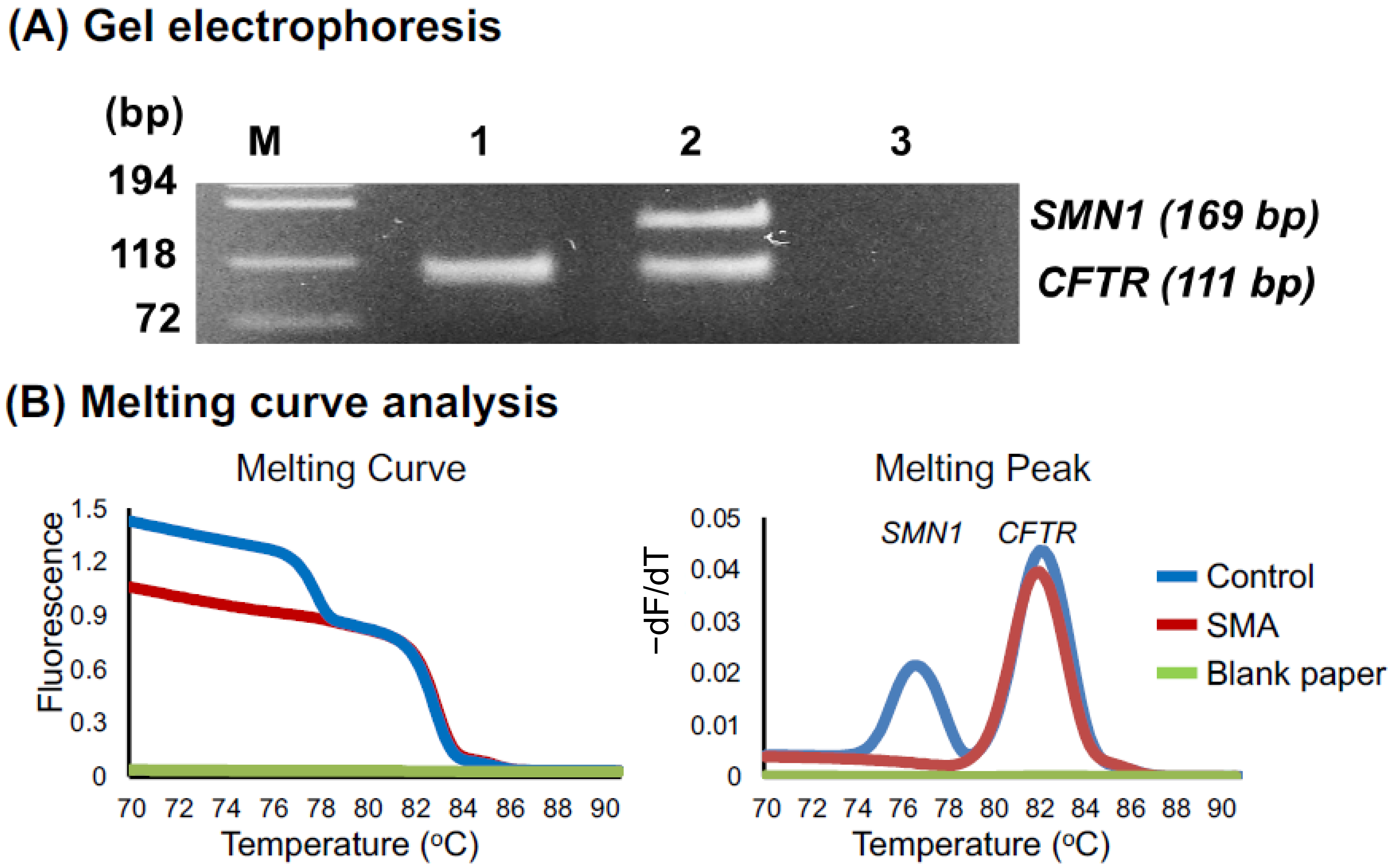 Genes 12 01621 g002