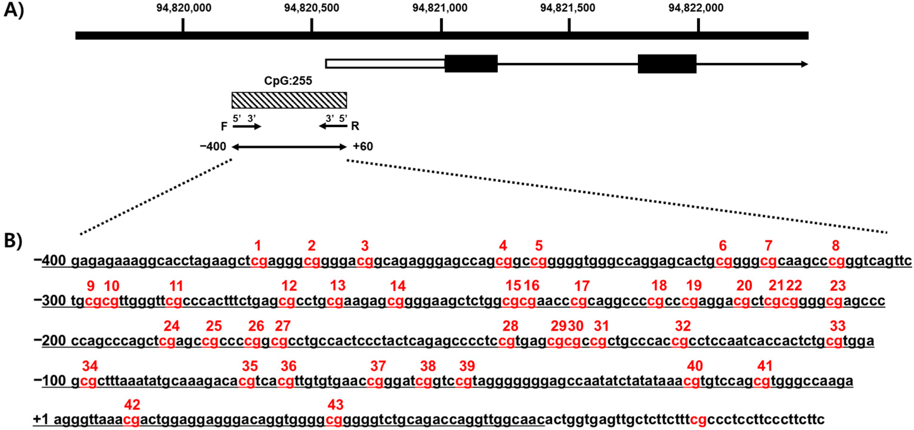 Genes 12 01622 g001