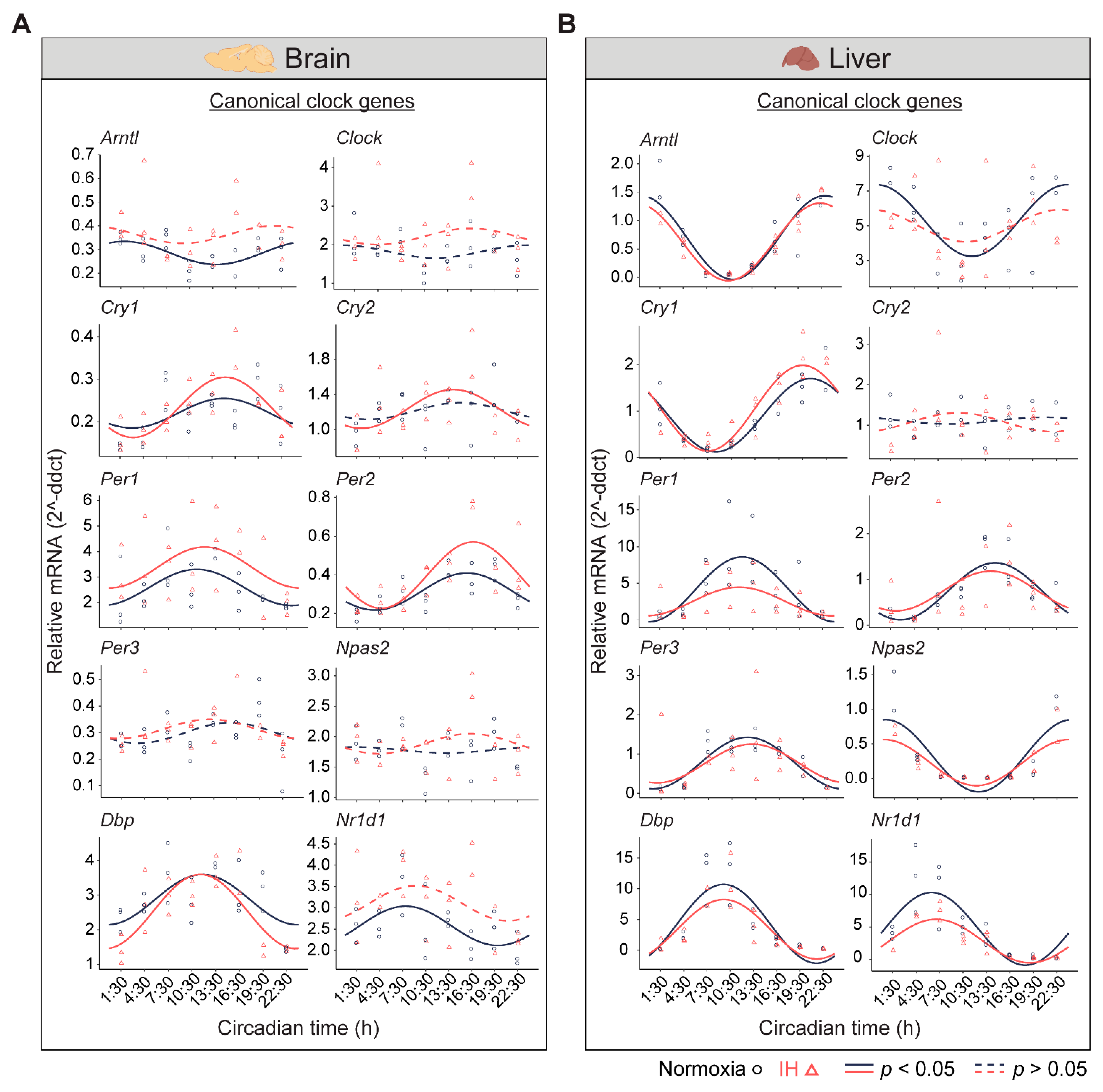 Genes Free FullText Intermittent Hypoxia Alters the Circadian