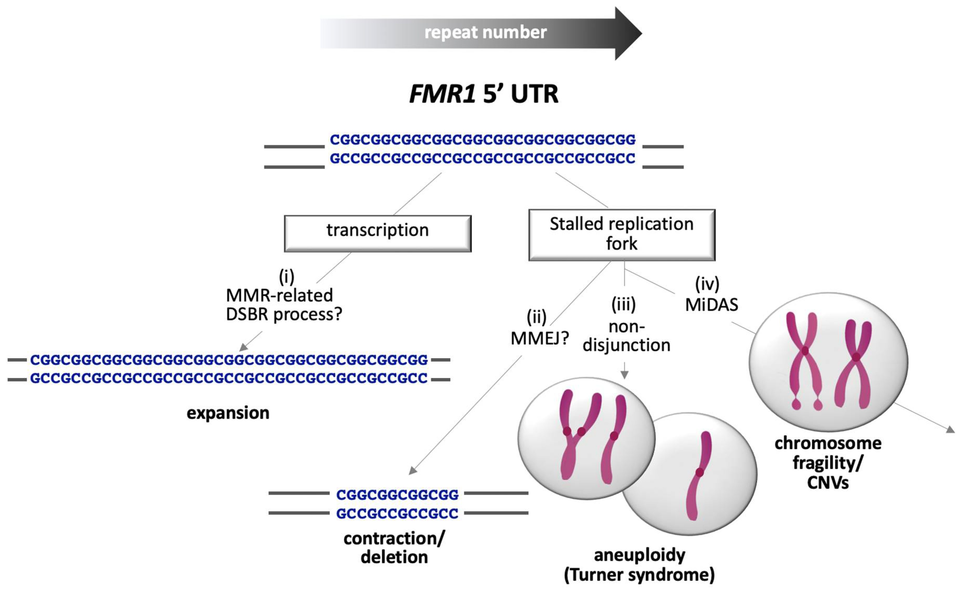 Genes 12 01633 g004