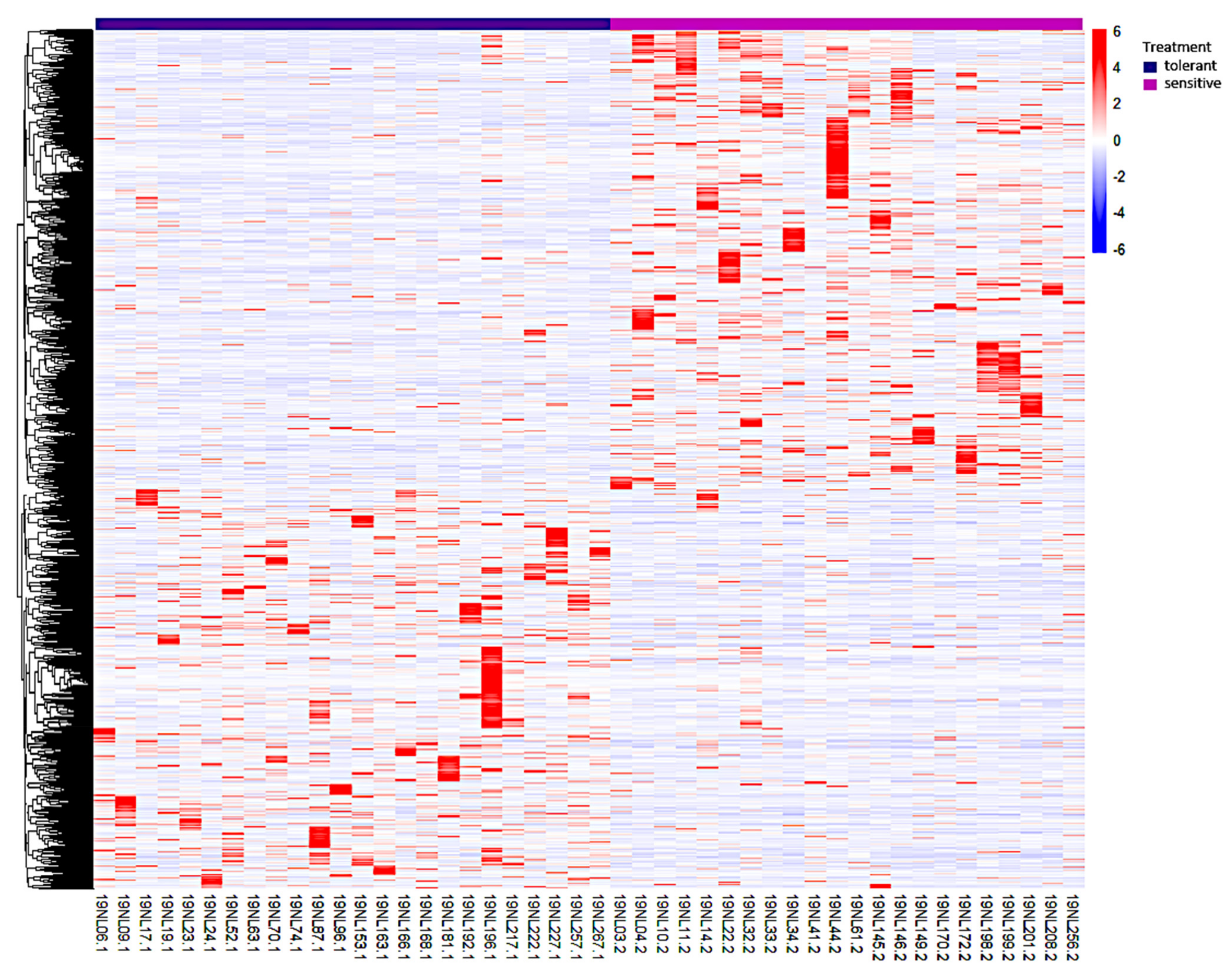 Genes 12 01638 g003 Genes 12 01638 g003